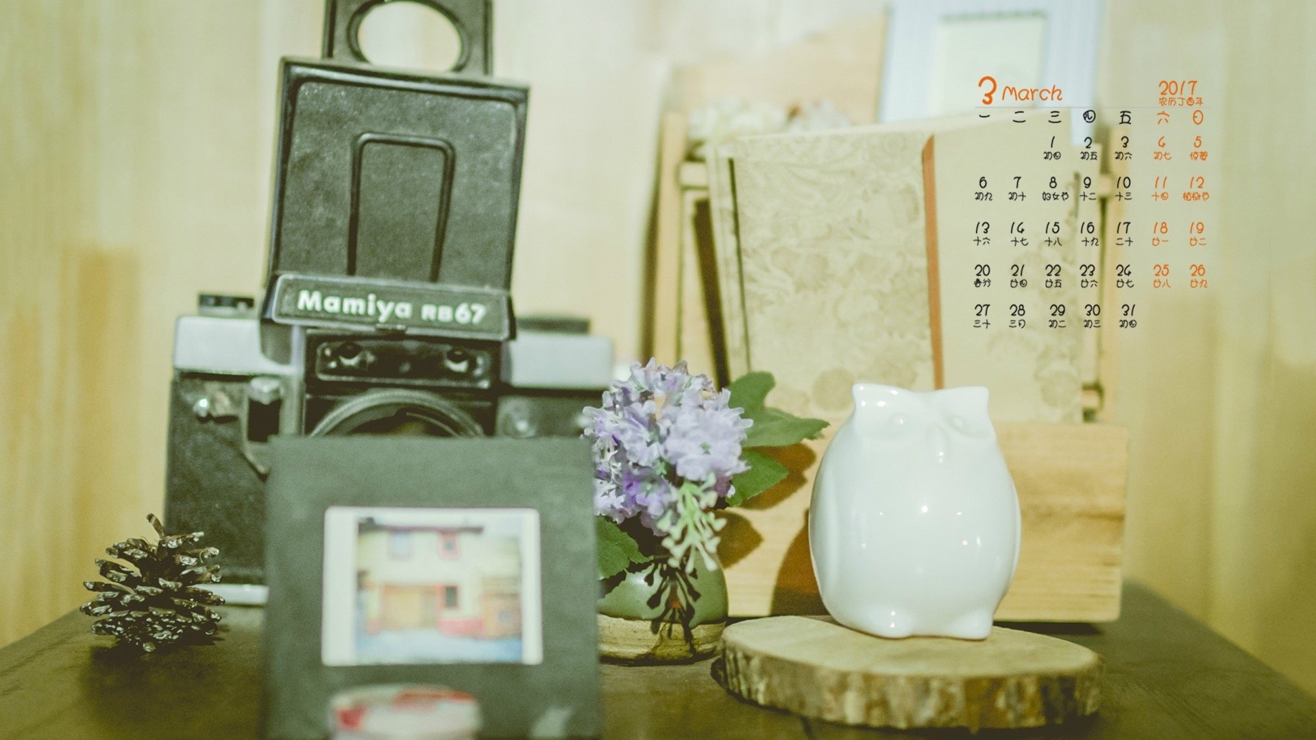 2017年3月,小清新