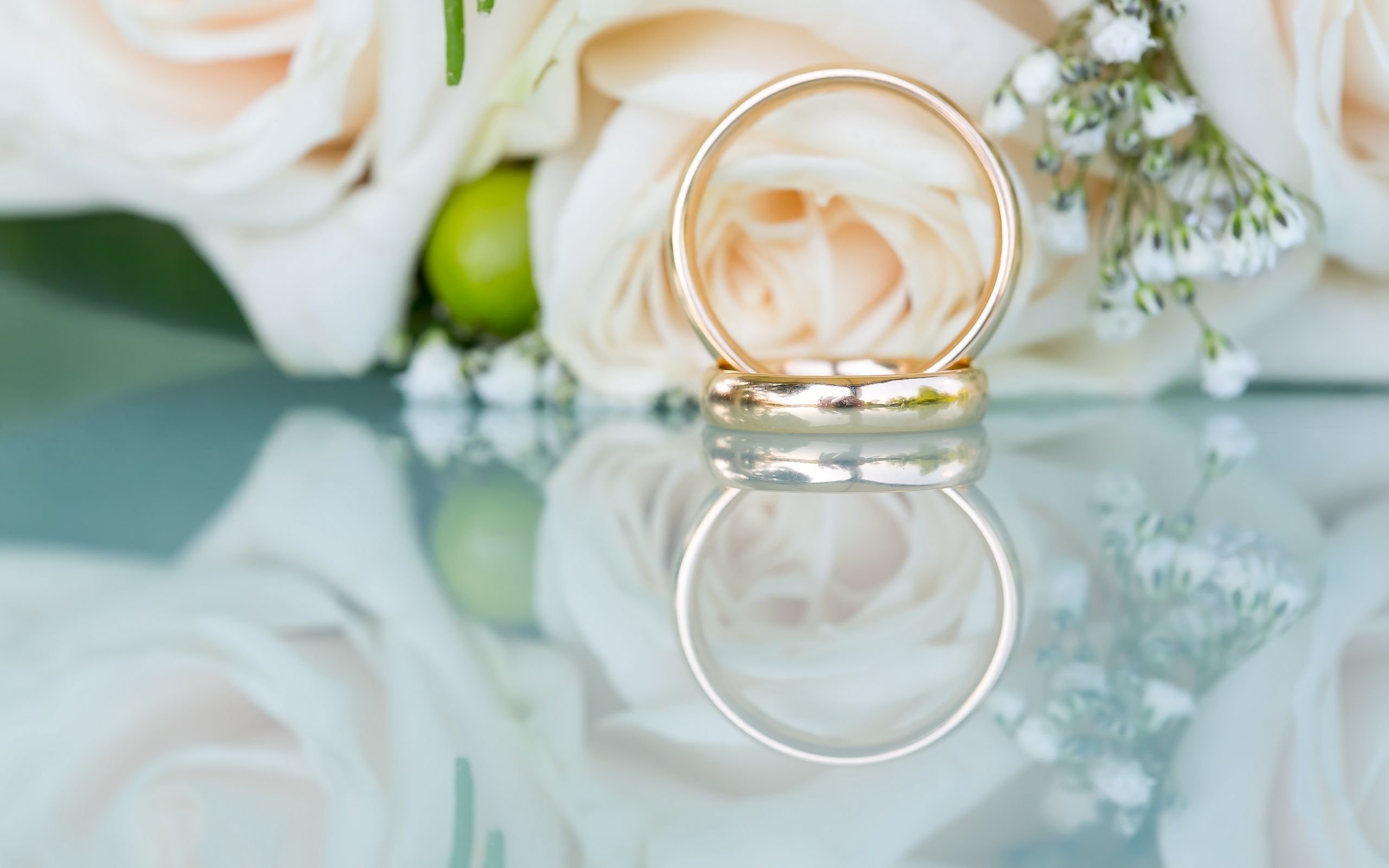 唯美温馨,戒指,白玫瑰花