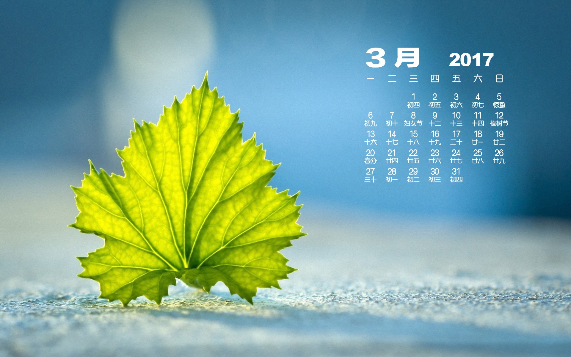 2017年3月,小清新,绿色叶子