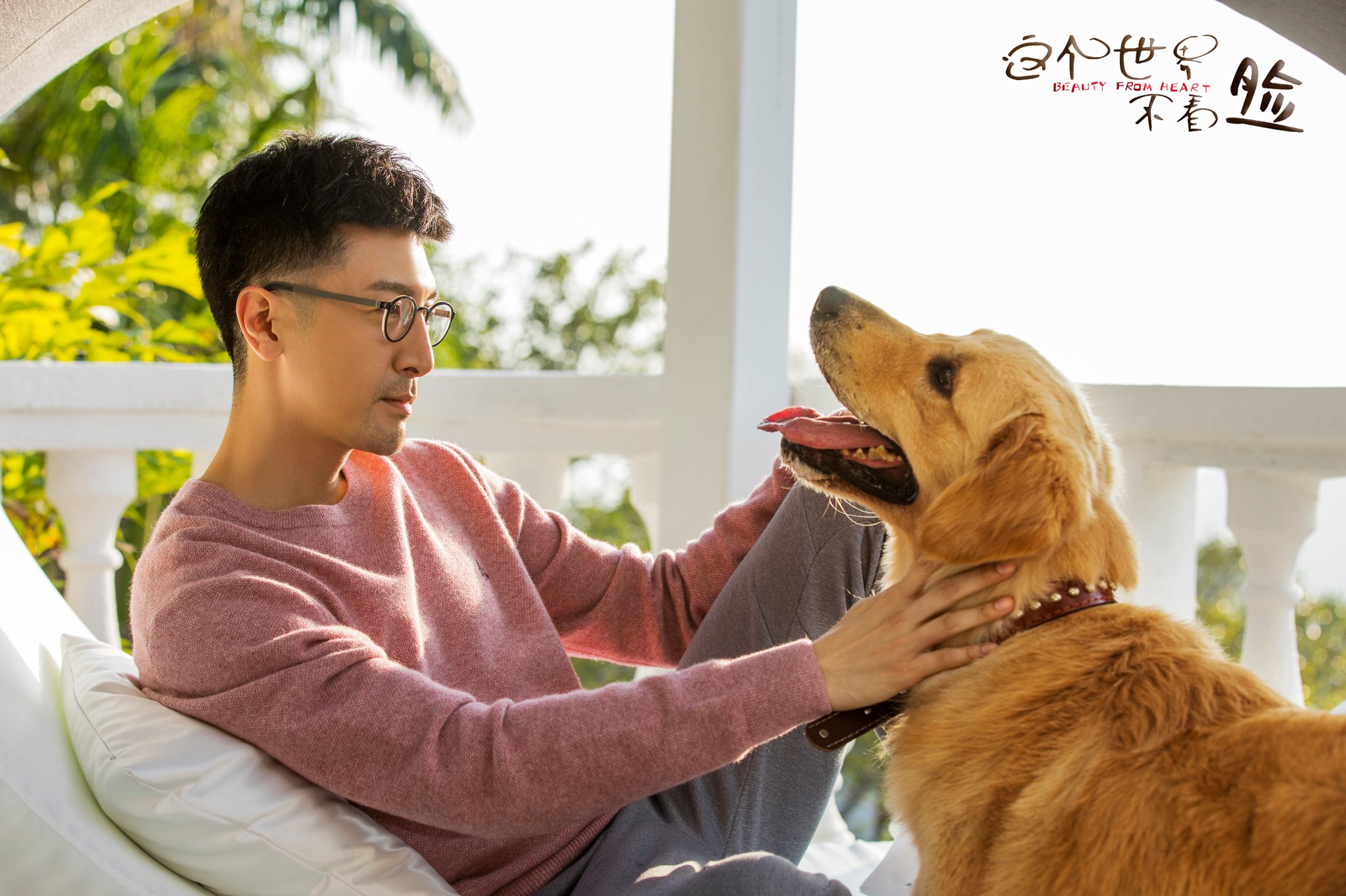 这个世界不看脸,张鲁一,金毛