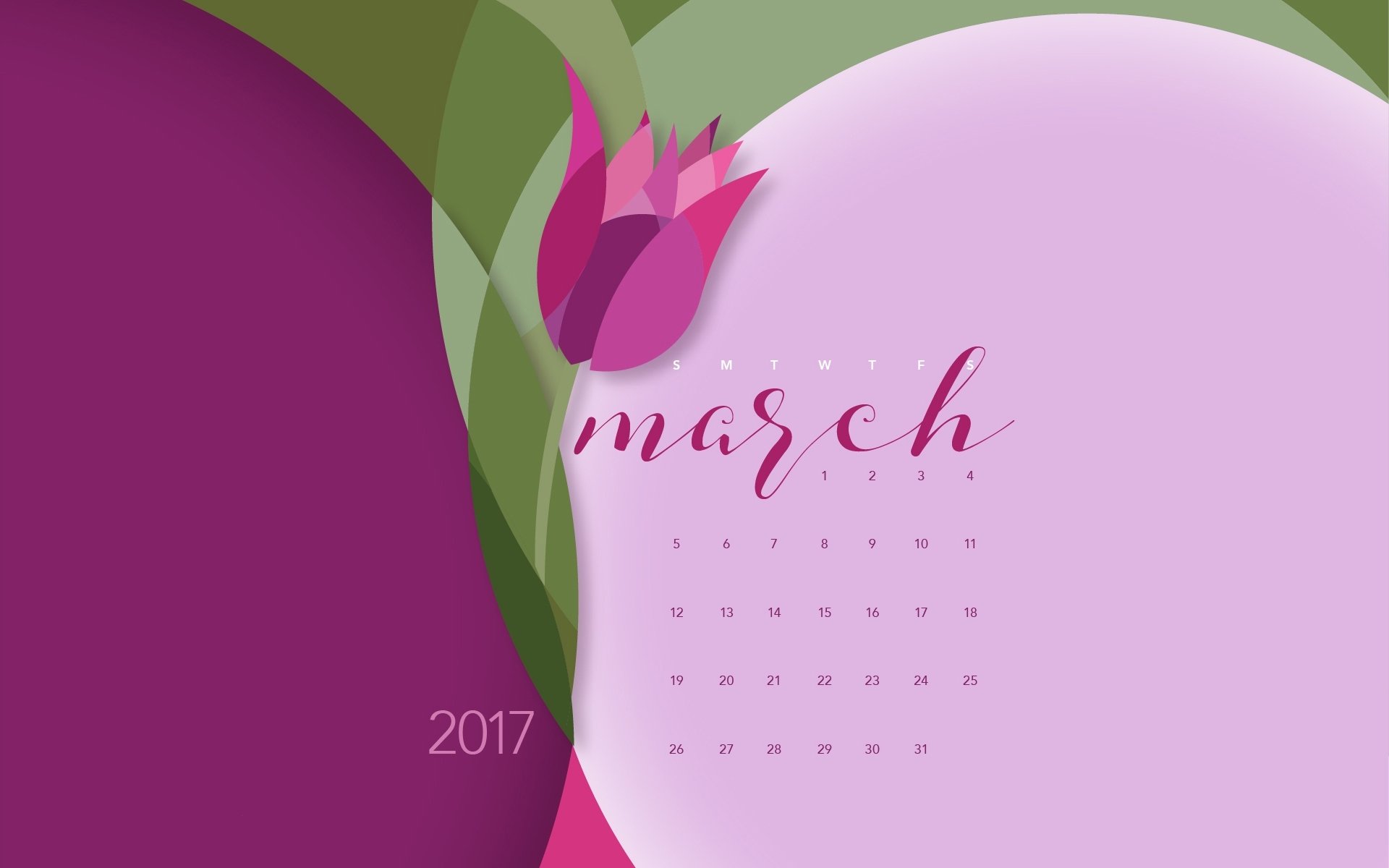 2017年3月,玫瑰花