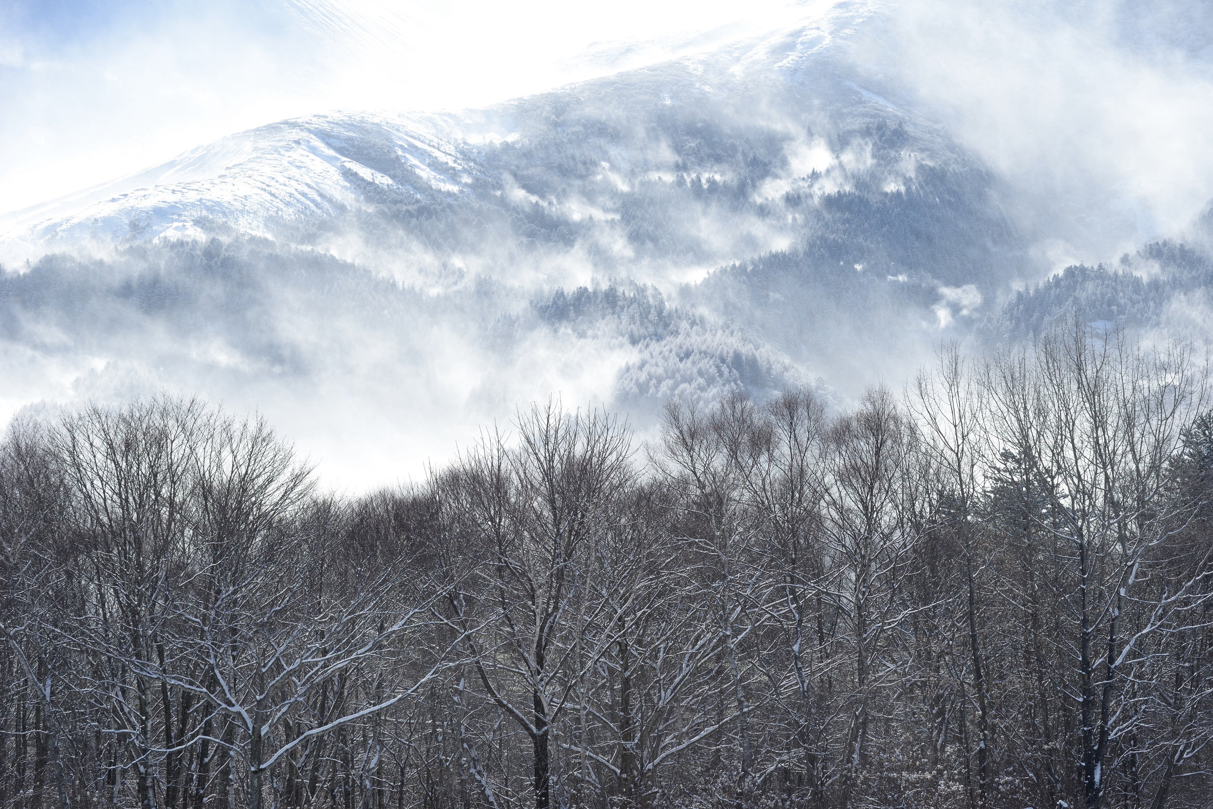 雪景,山脉,迷雾