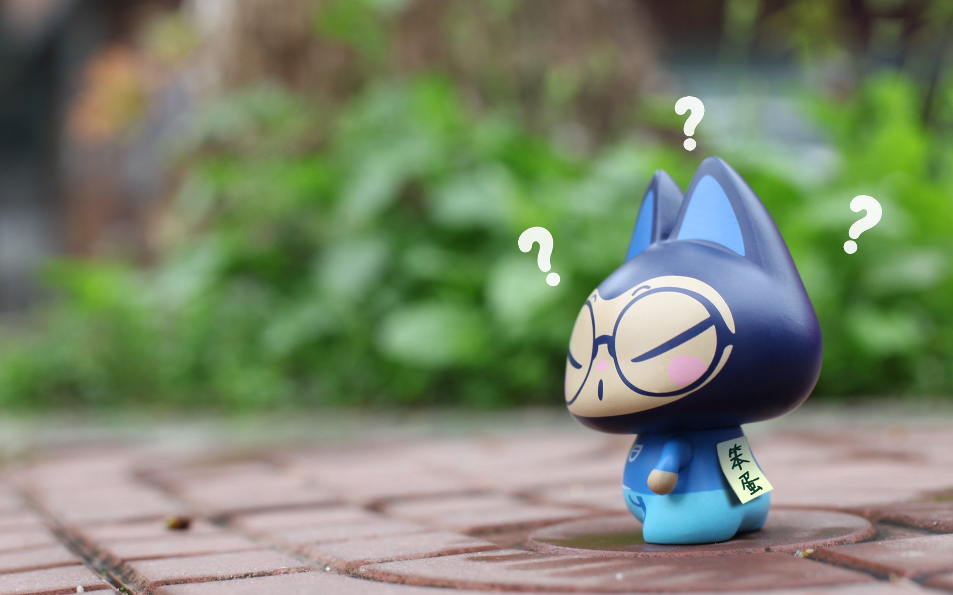 愚人节,拽猫,笨蛋