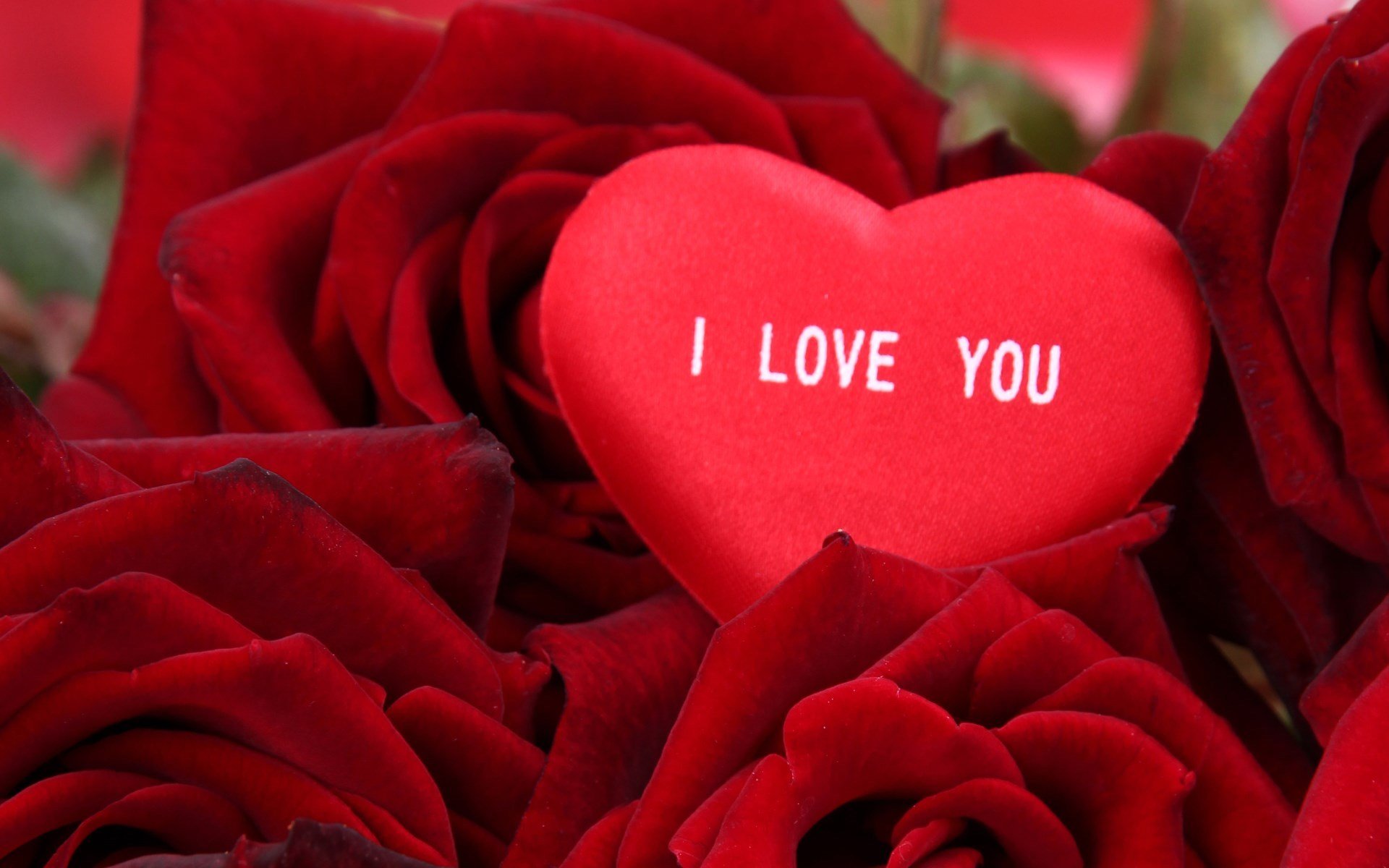 爱情箴言,我爱你,爱心,玫瑰花