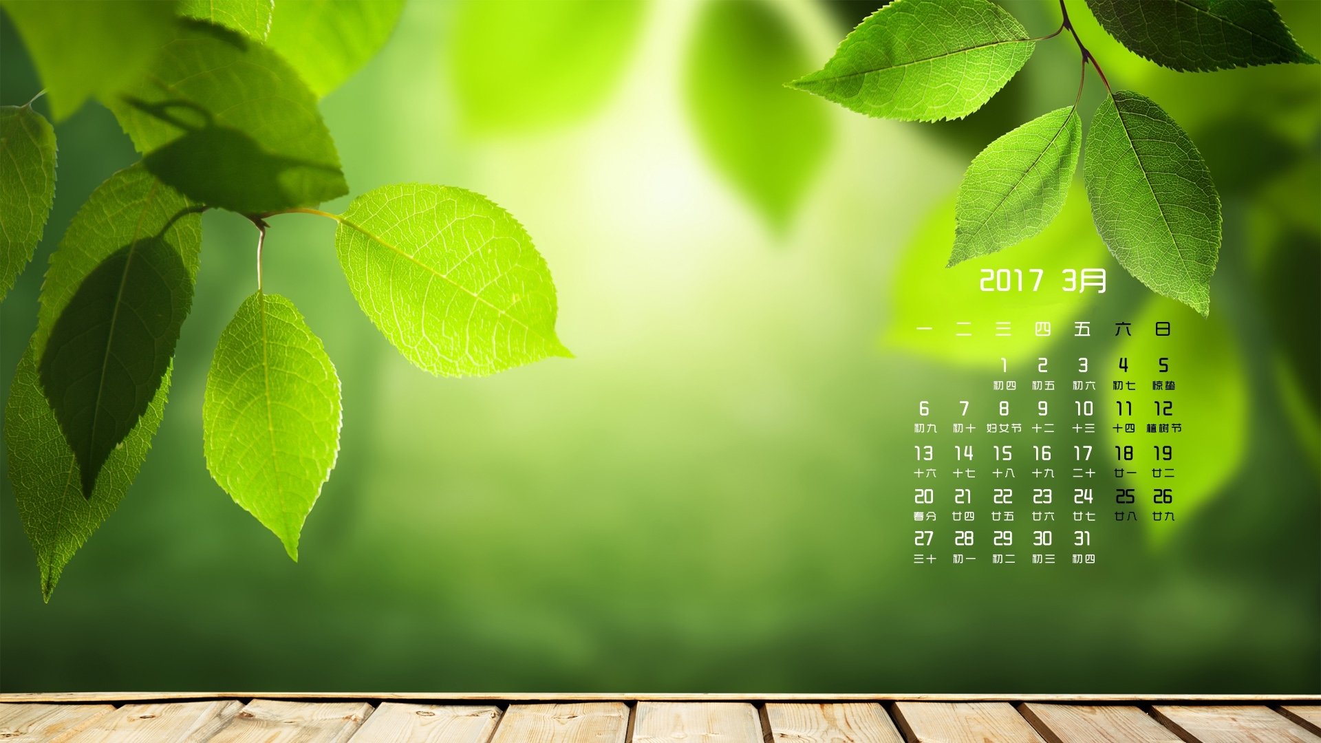 2017年3月,小清新,树叶