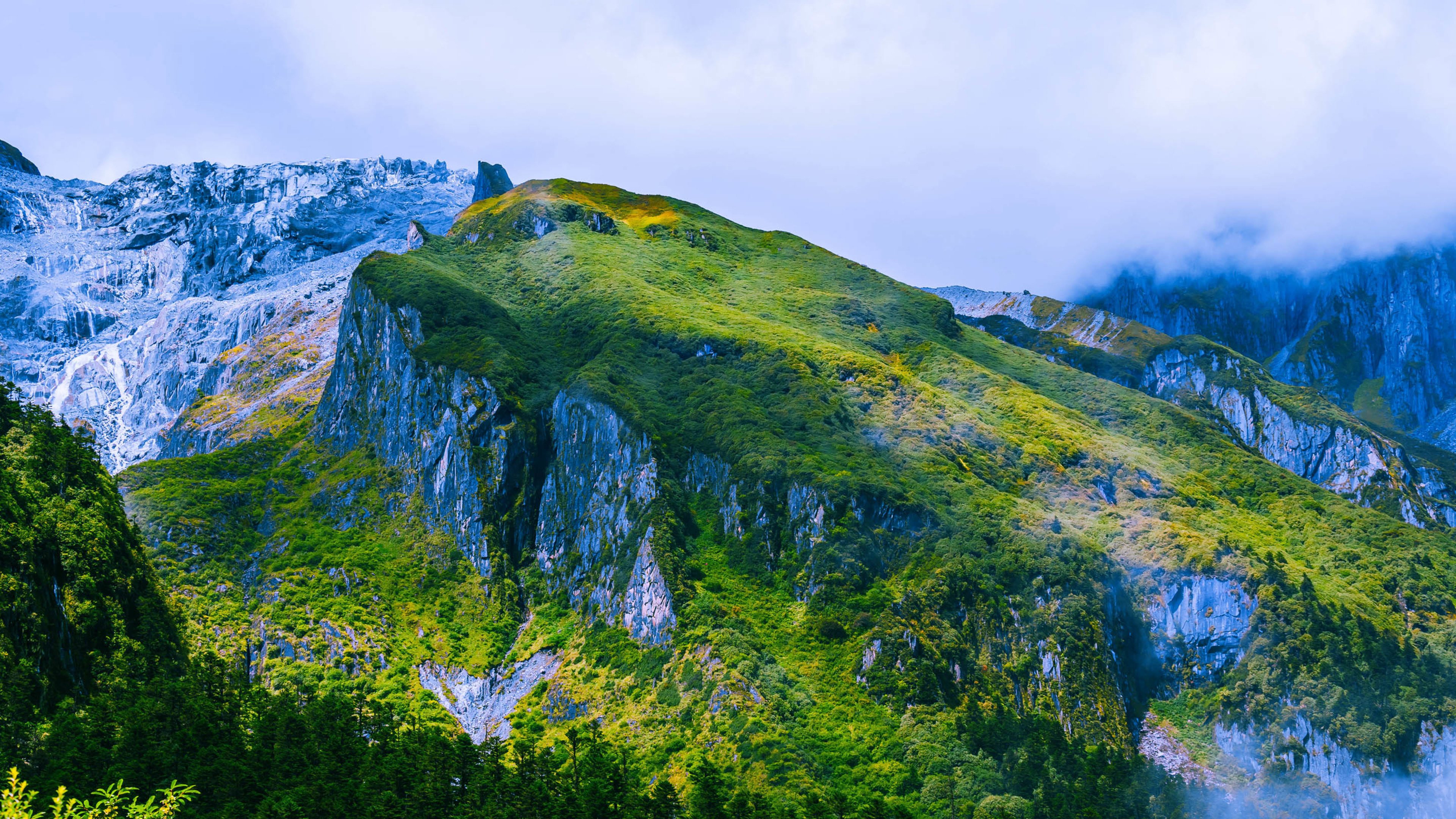 森林,山脉,绿色
