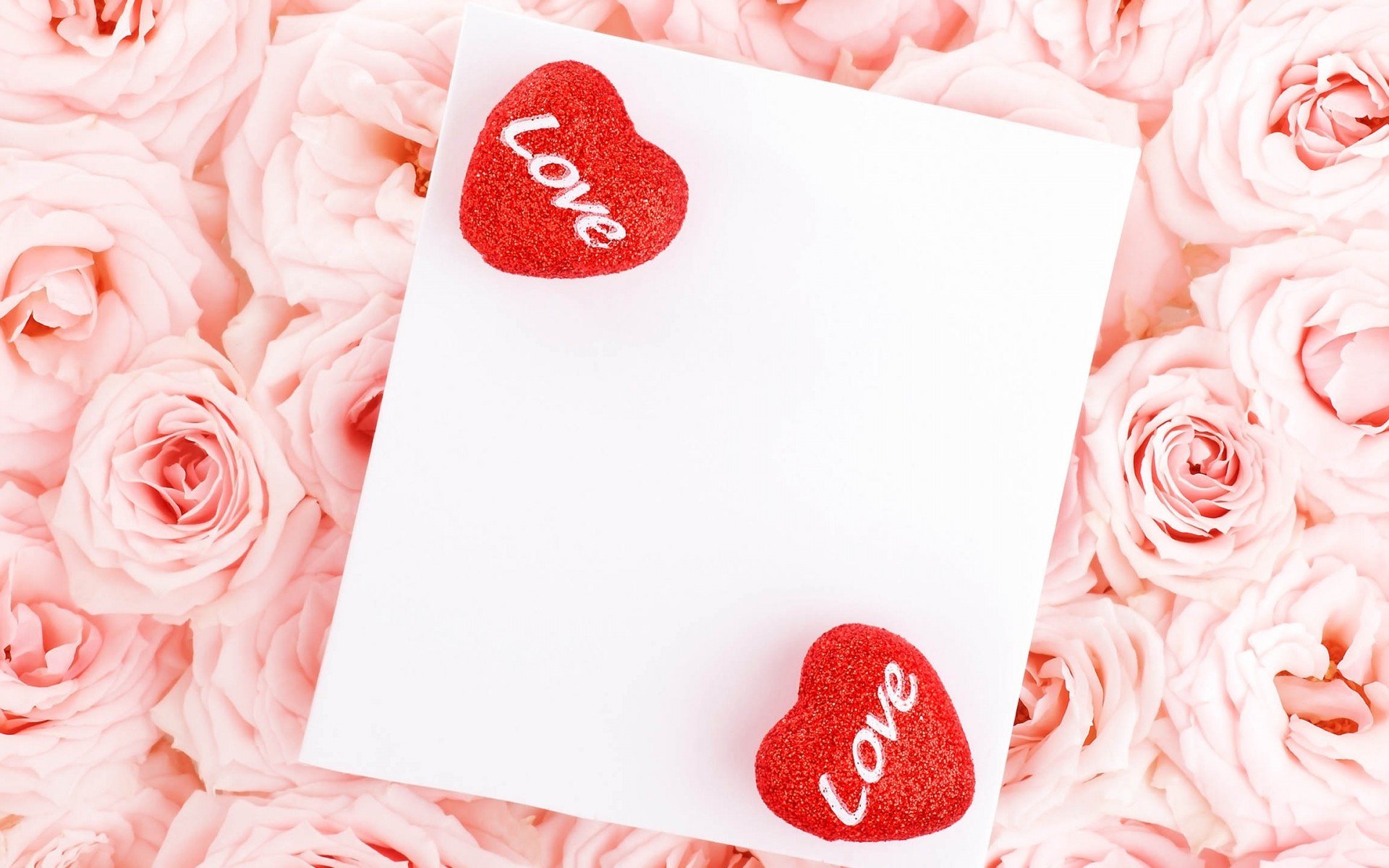 心动创意,玫瑰花,爱心