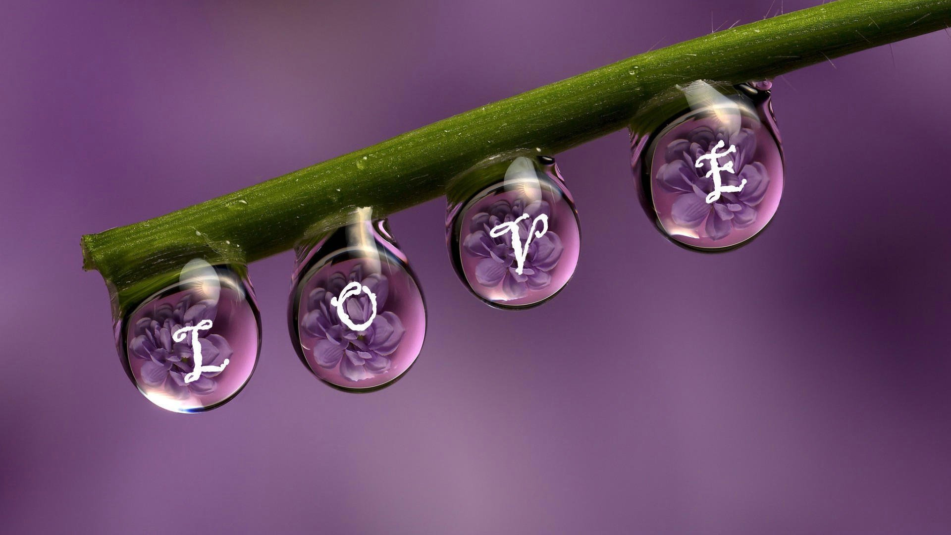 爱情箴言,love,水珠