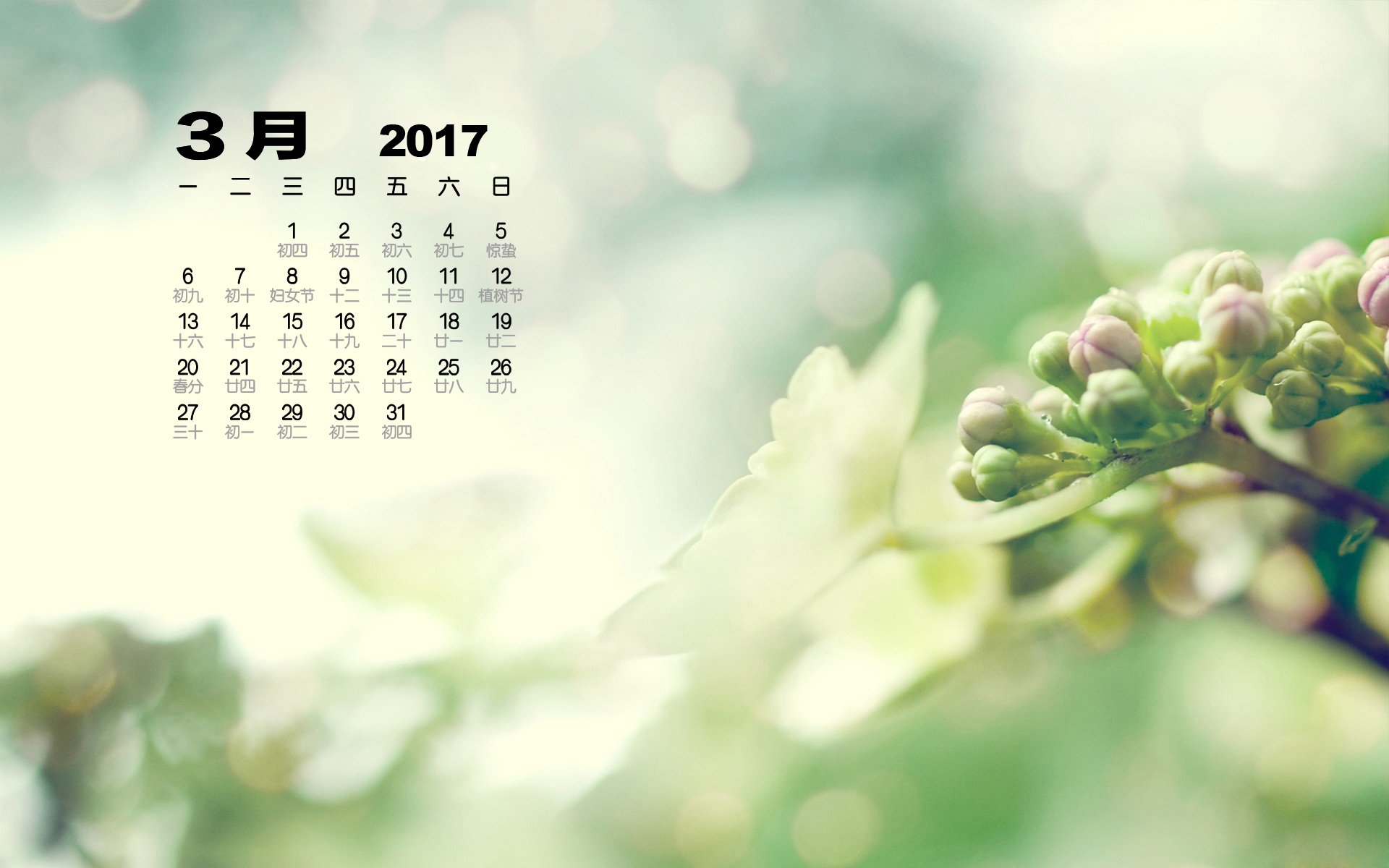 2017年3月,小清新,植物