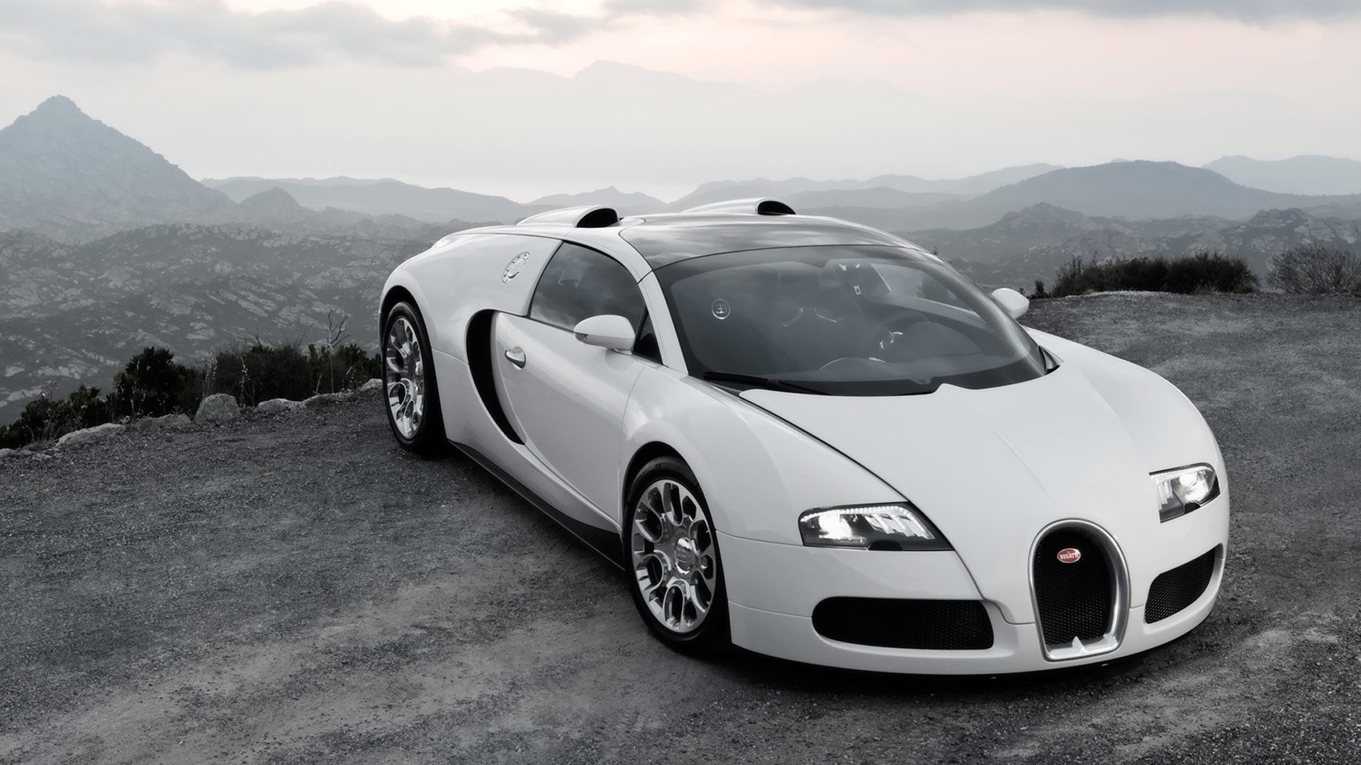 布加迪,威龙,白色跑车