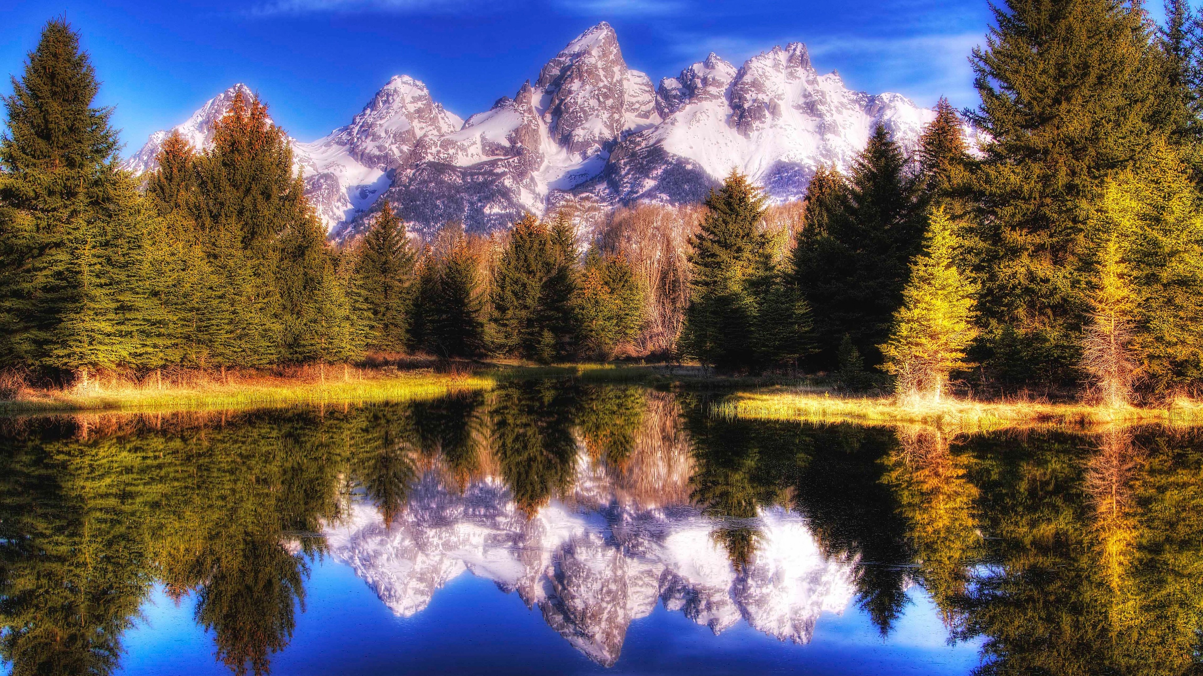 雪山,湖水,森林