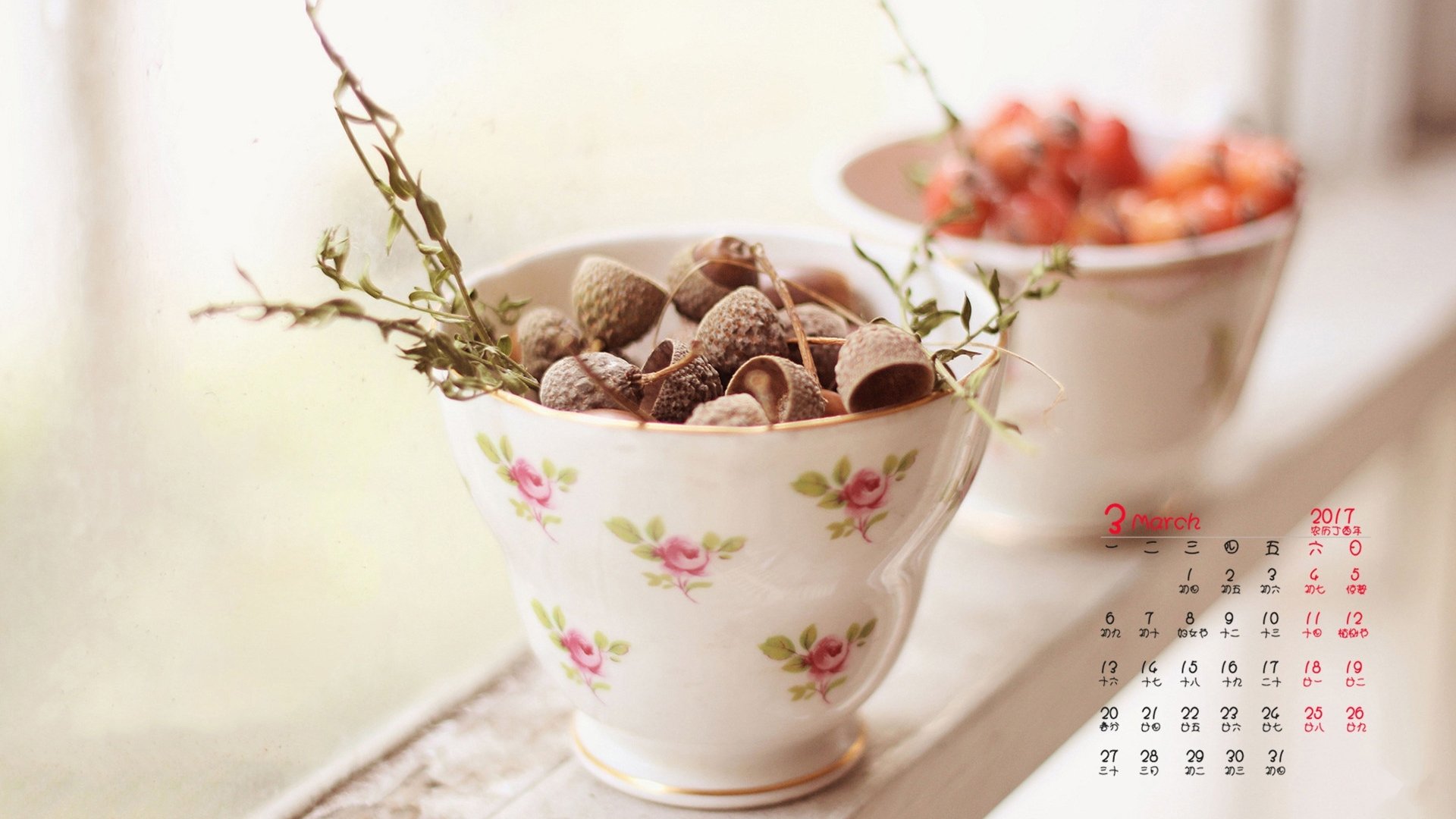 2017年3月,小清新,植物