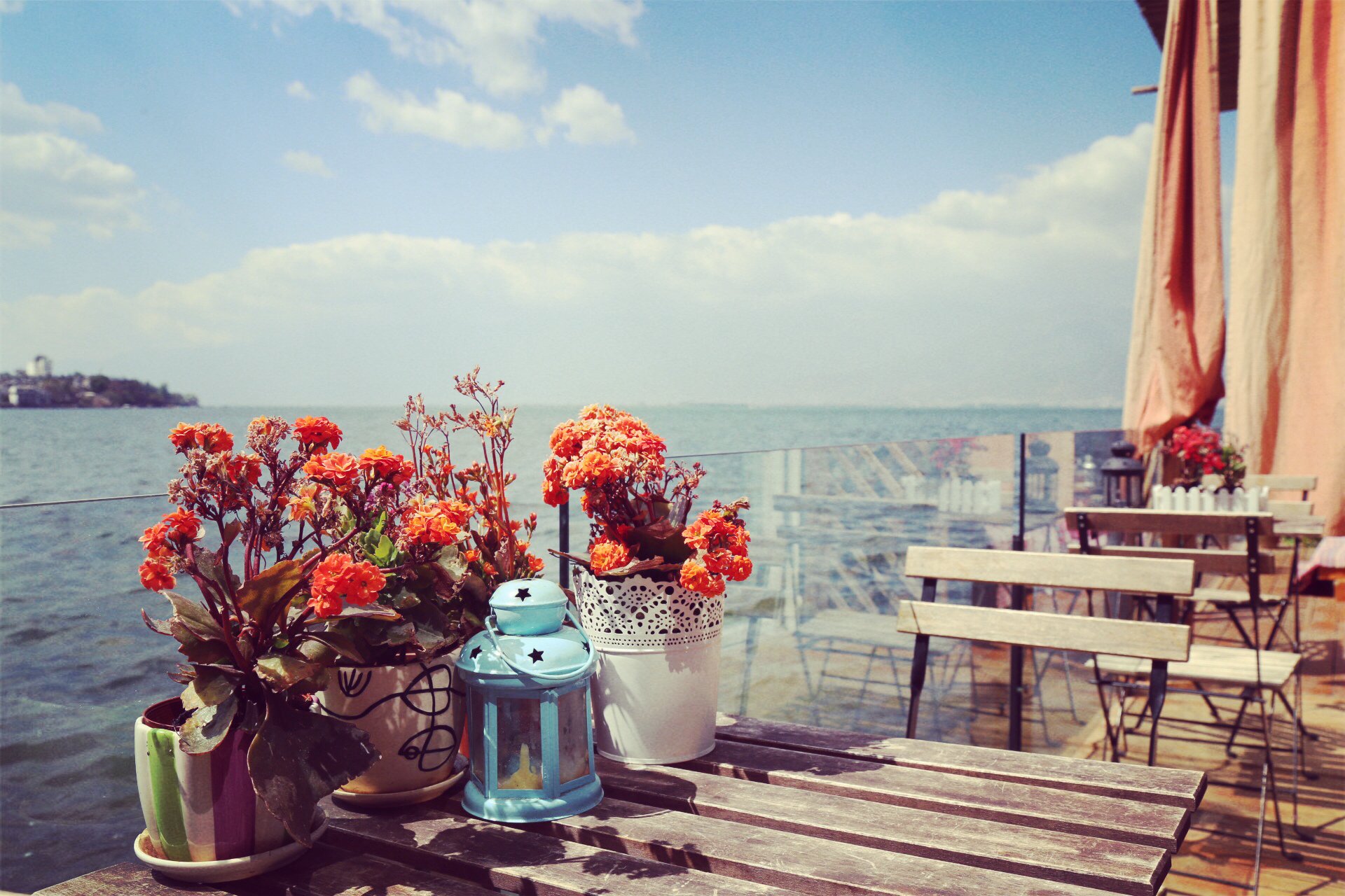 自然风光,大理洱海,餐厅,鲜花