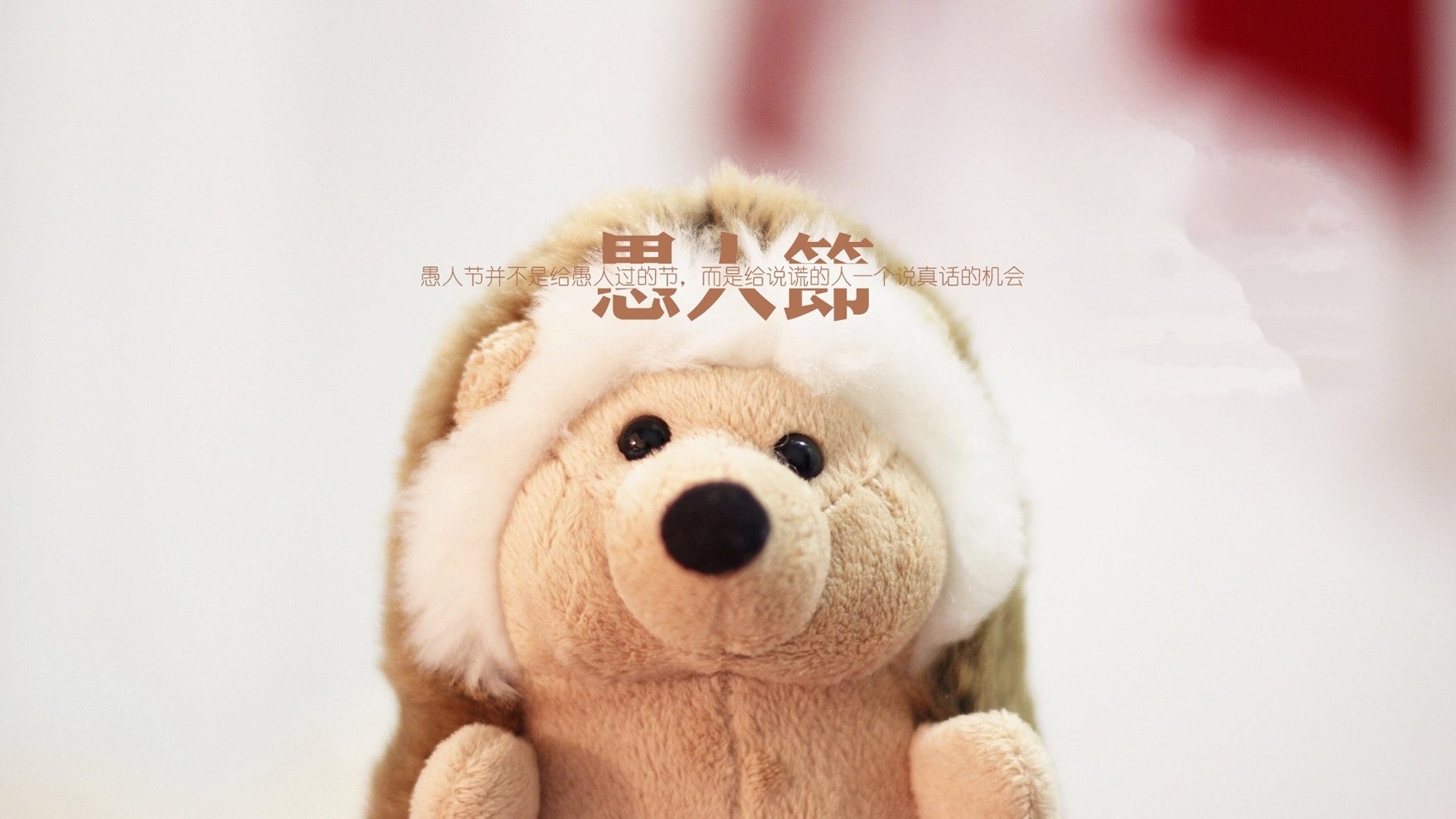 愚人节,文字,毛绒玩具