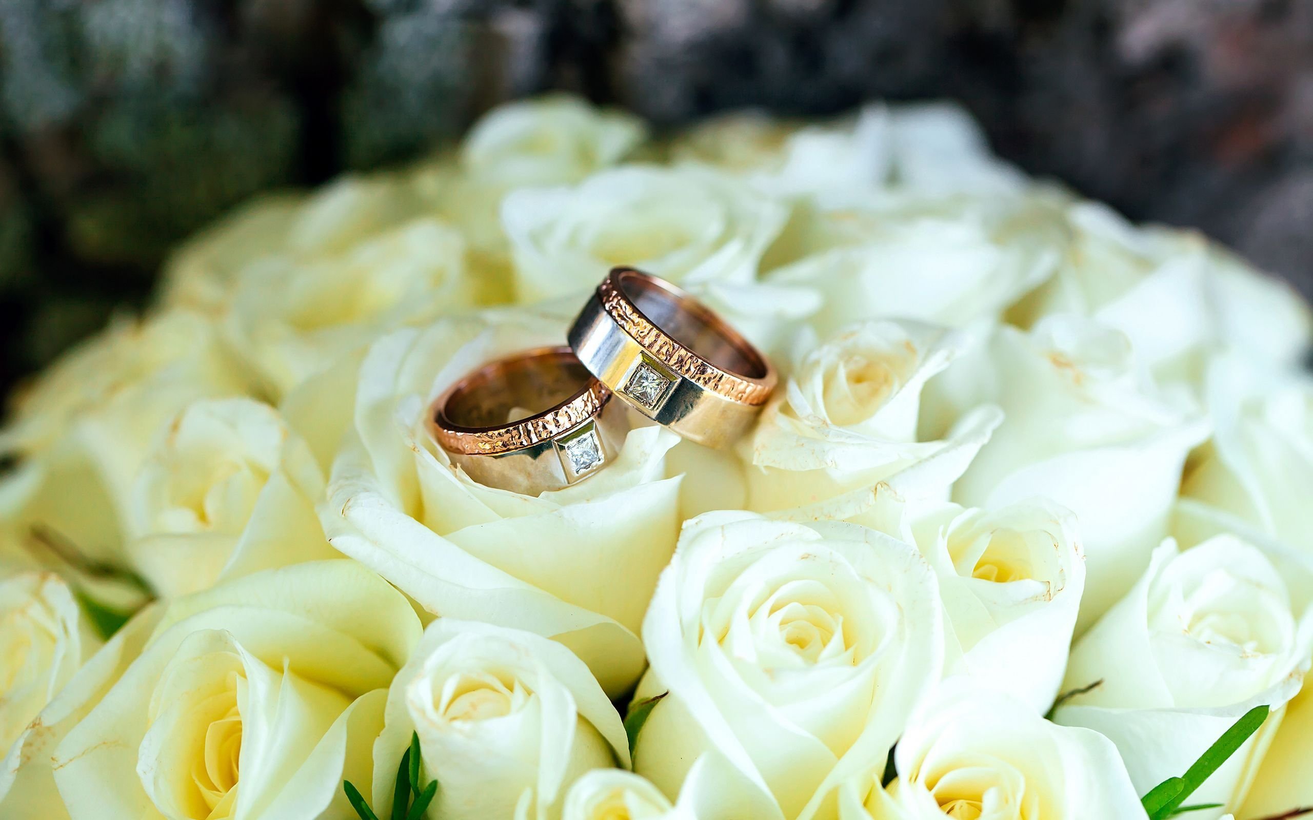 唯美温馨,戒指,白玫瑰花