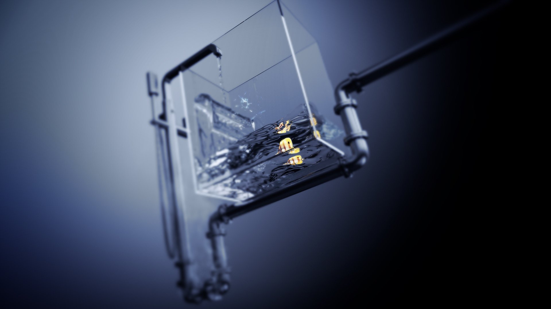 趣味,3D静态,鱼缸