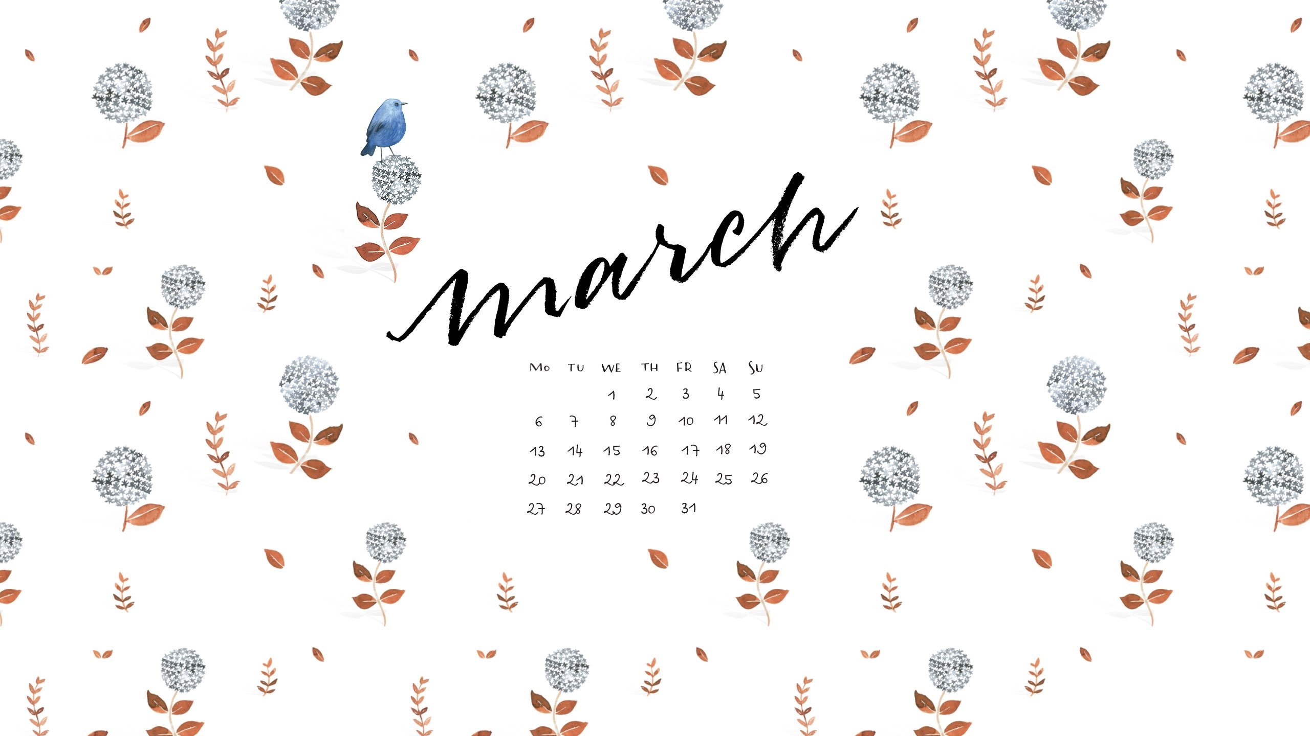 2017年3月,手绘小清新