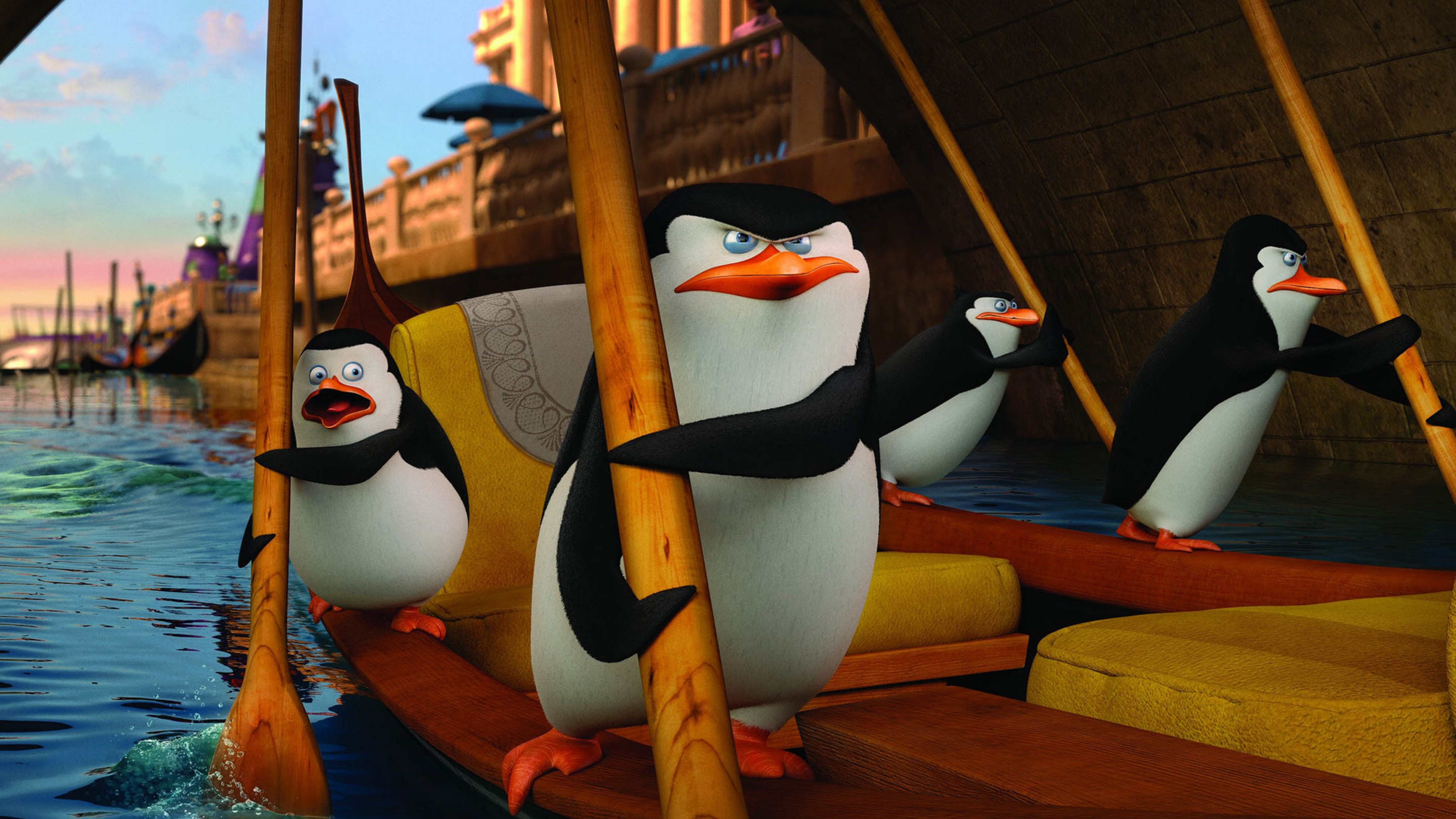 马达加斯加的企鹅