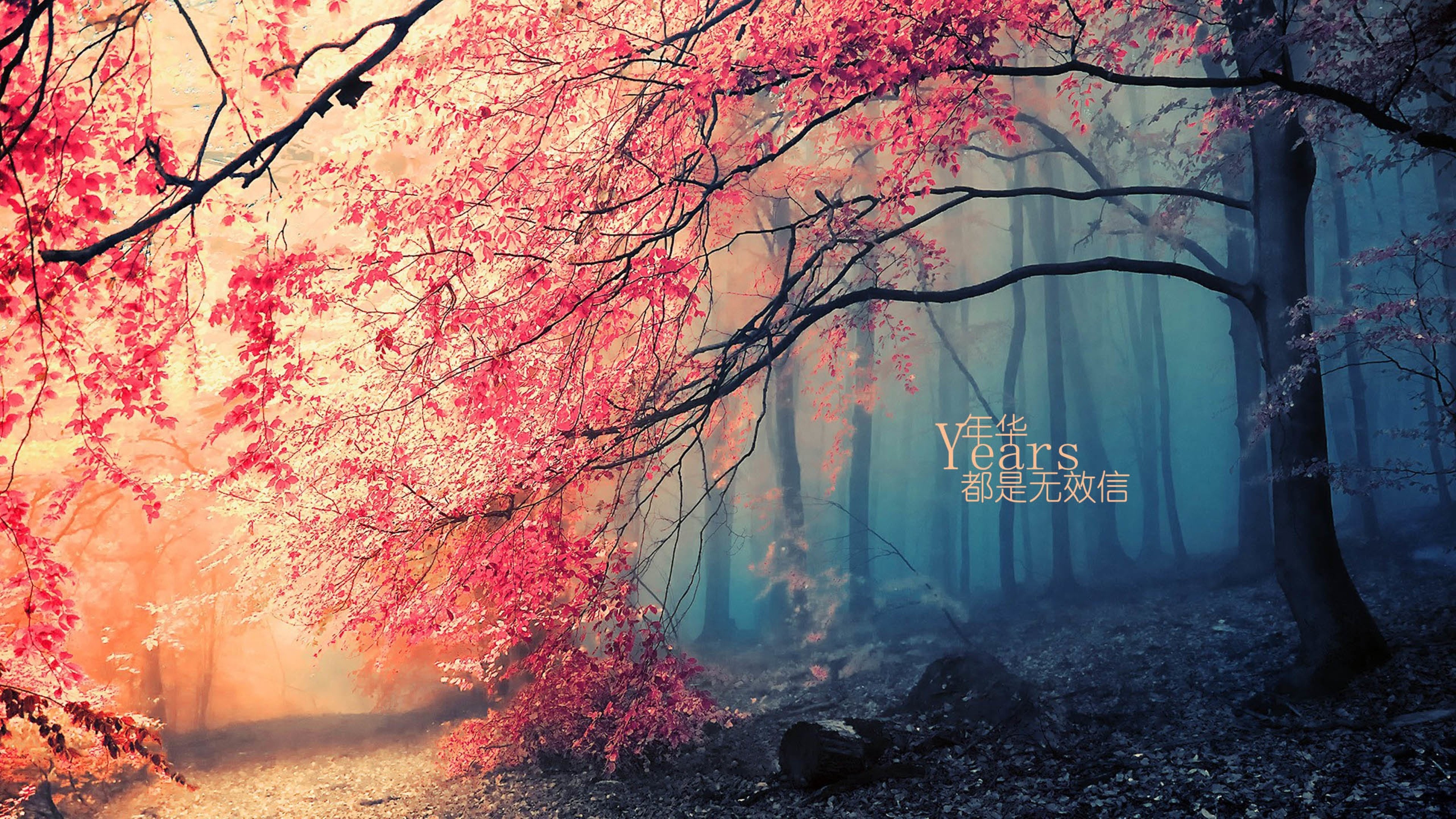 年华都是无效信,文字
