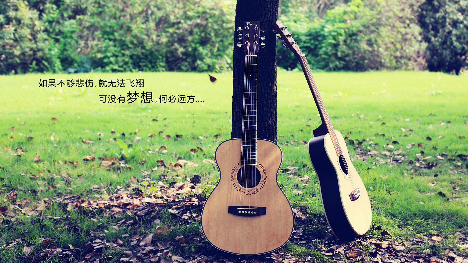 文字,吉他,歌词