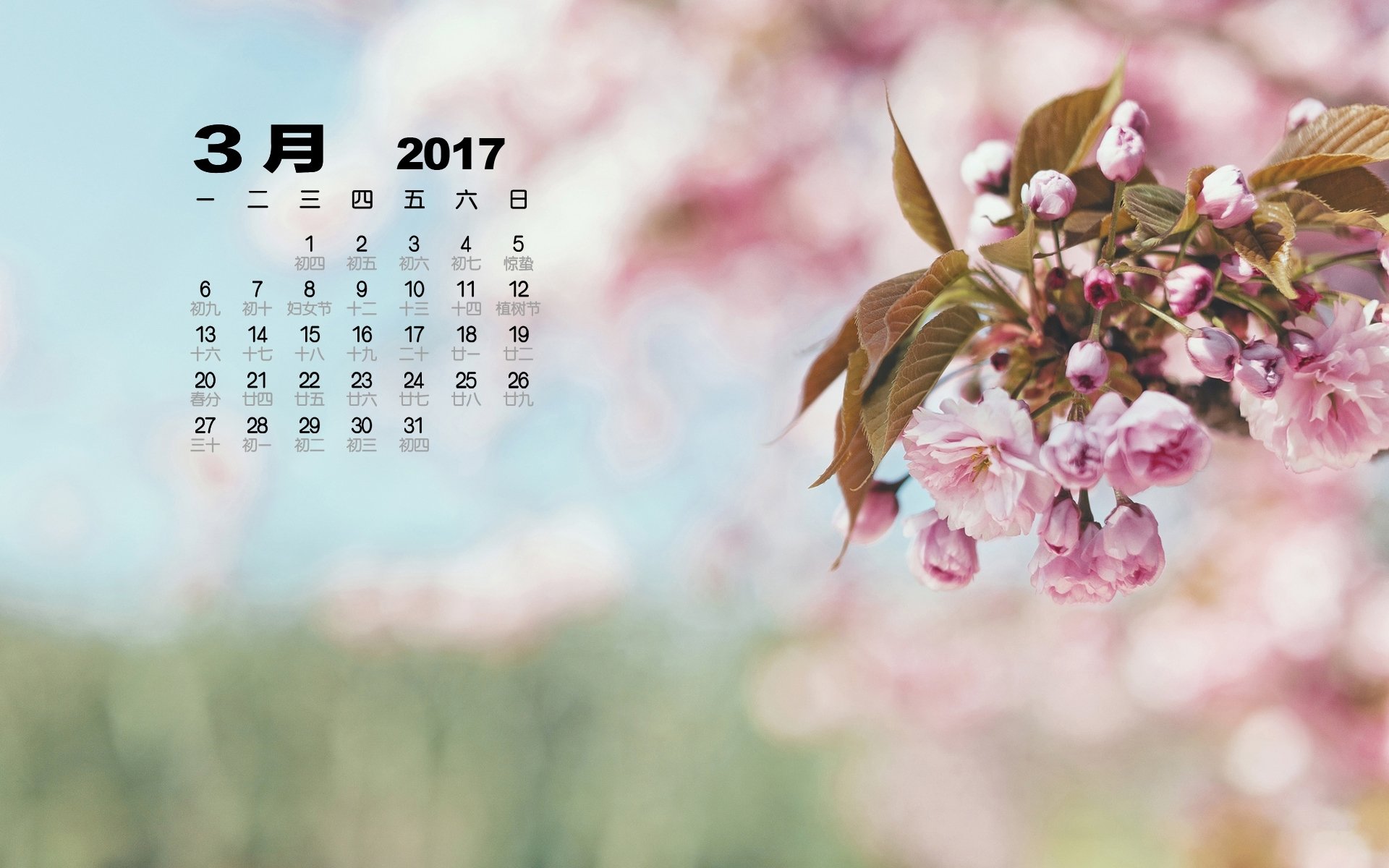 2017年3月,小清新,桃花