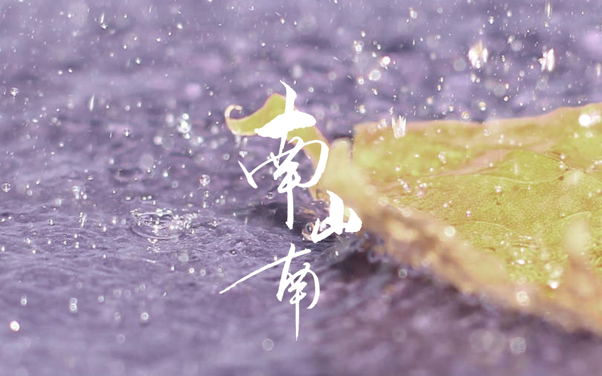 文字,歌词,南山南