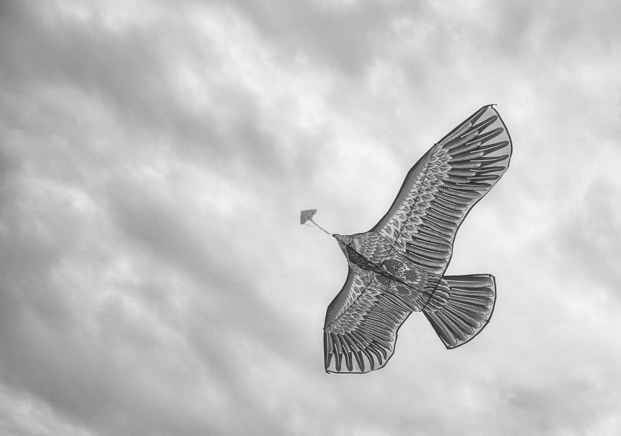 趣味,风筝,黑白