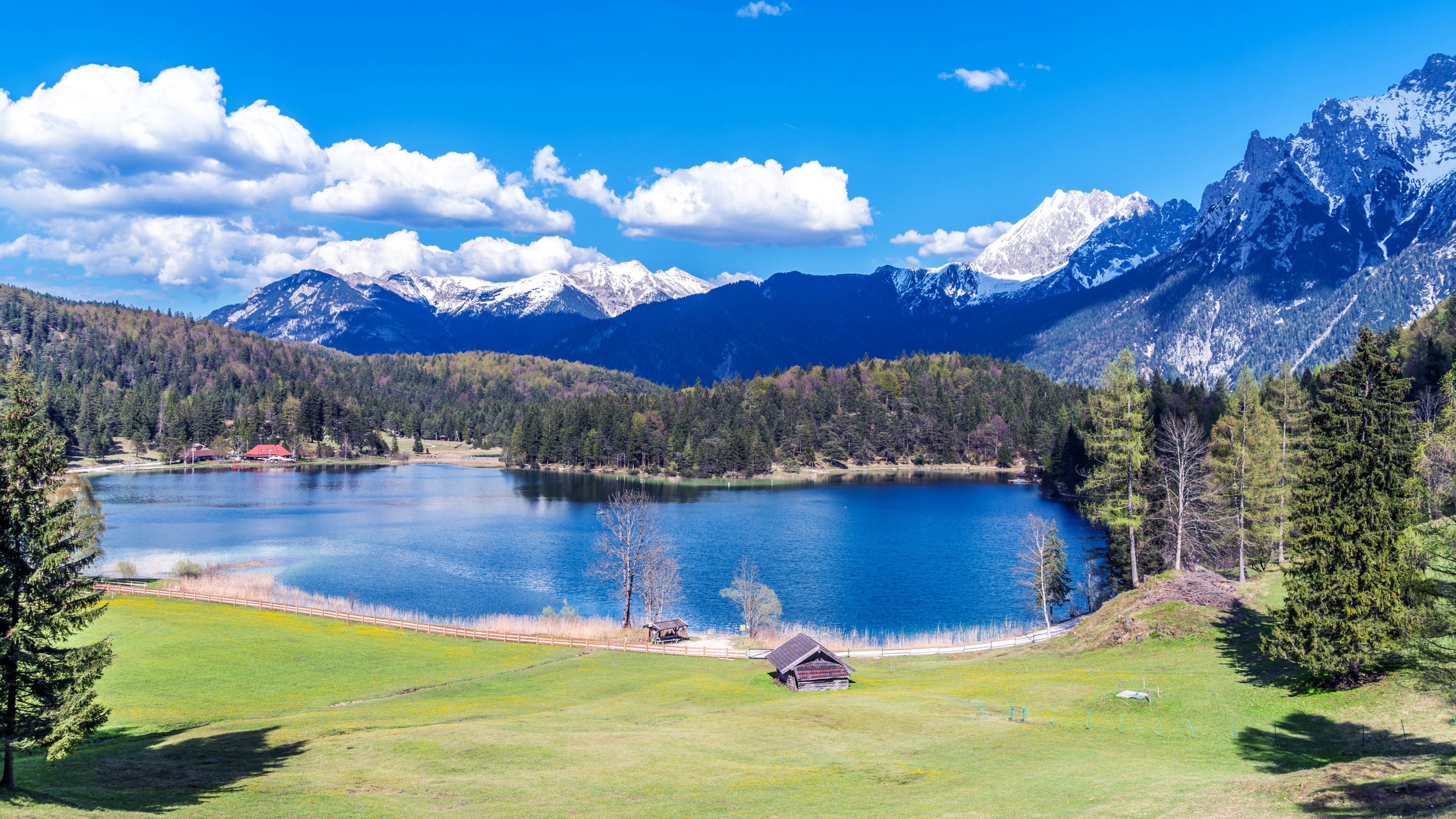 野外,森林,阳光,湖水