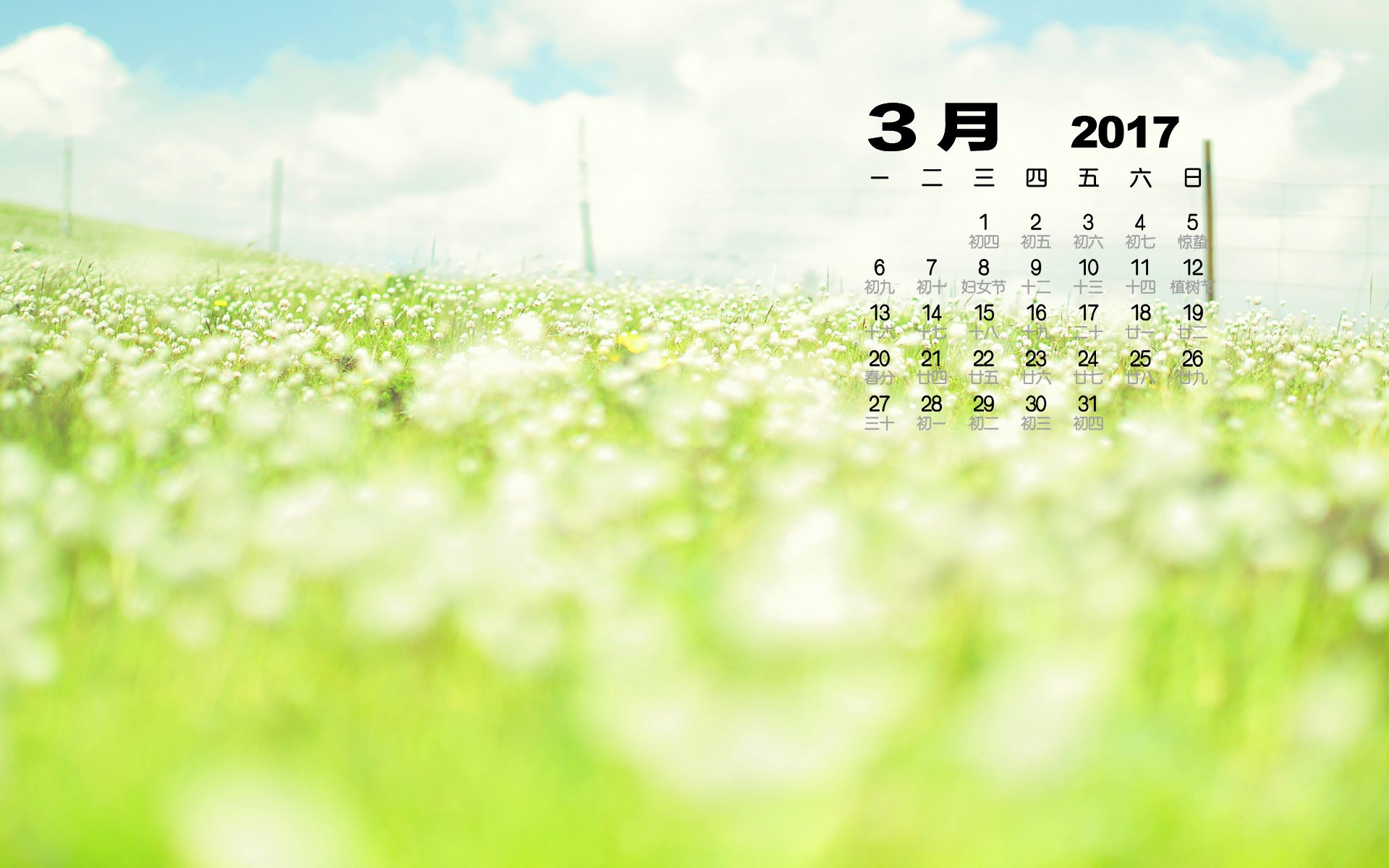 2017年3月,小清新