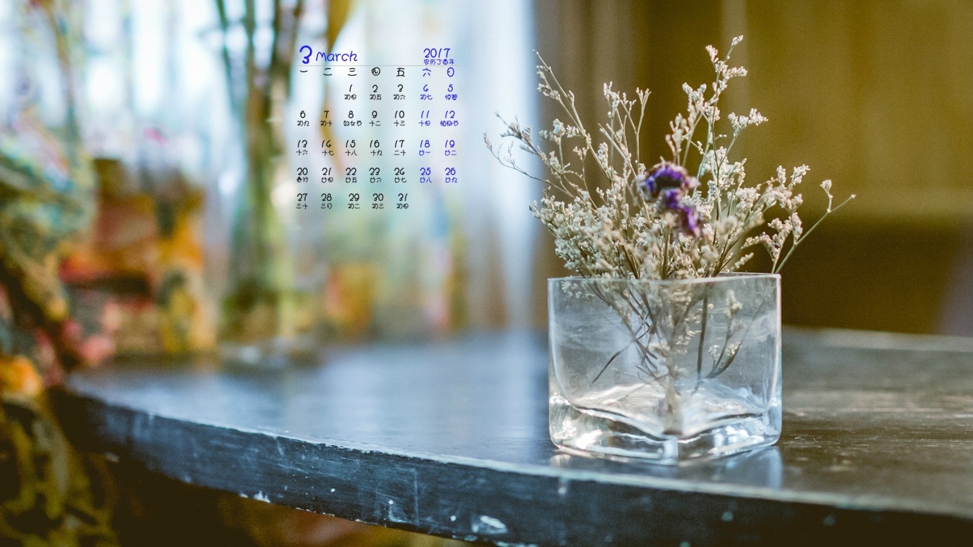 2017年3月,小清新