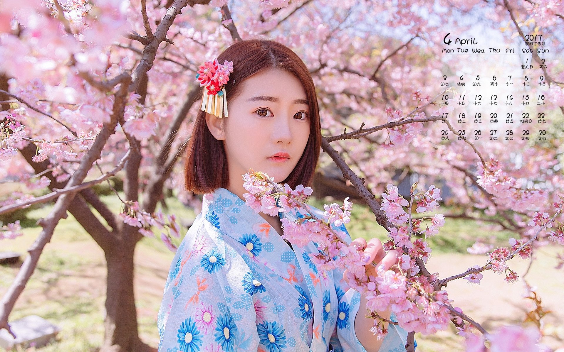 2017年4月,樱花和服美女