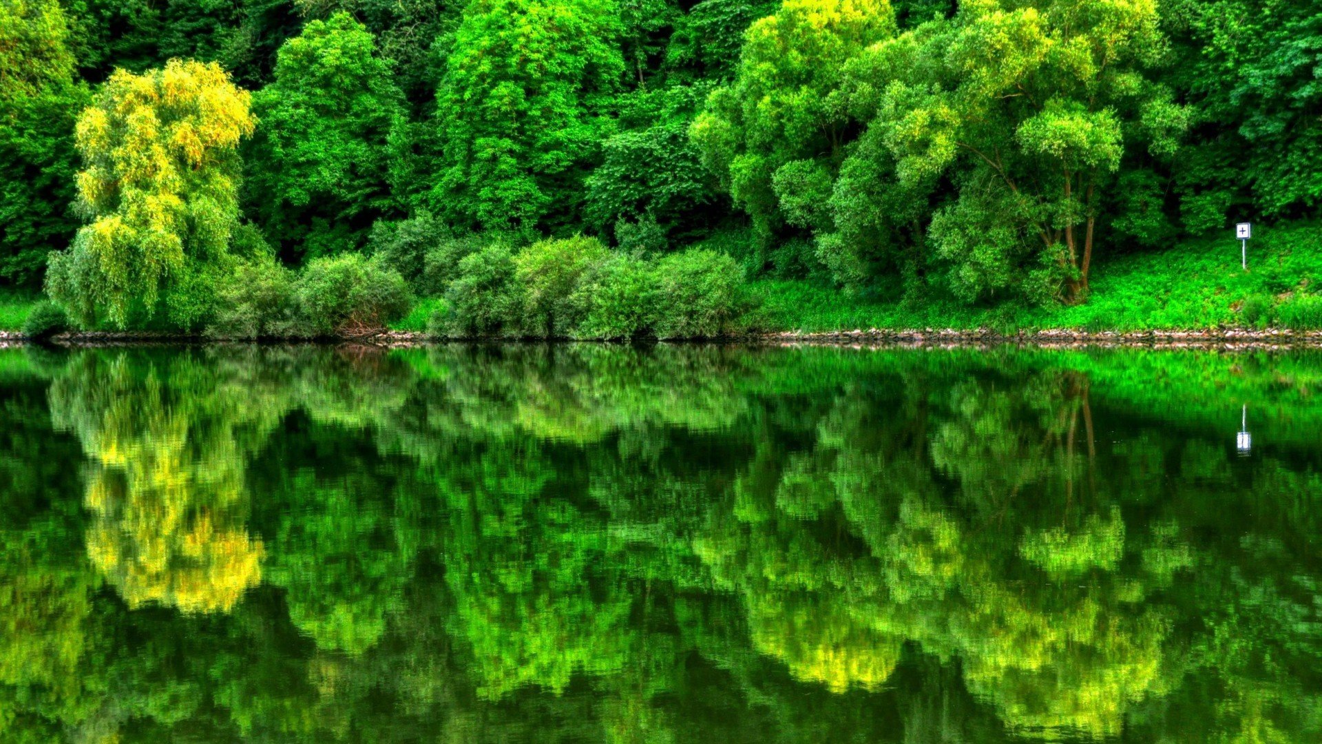 春意盎然,绿色植物,护眼