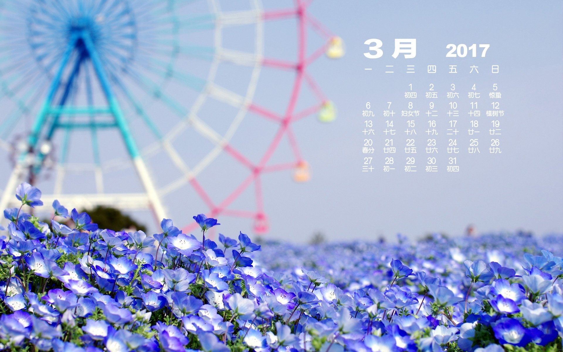 2017年3月,花海,摩天轮