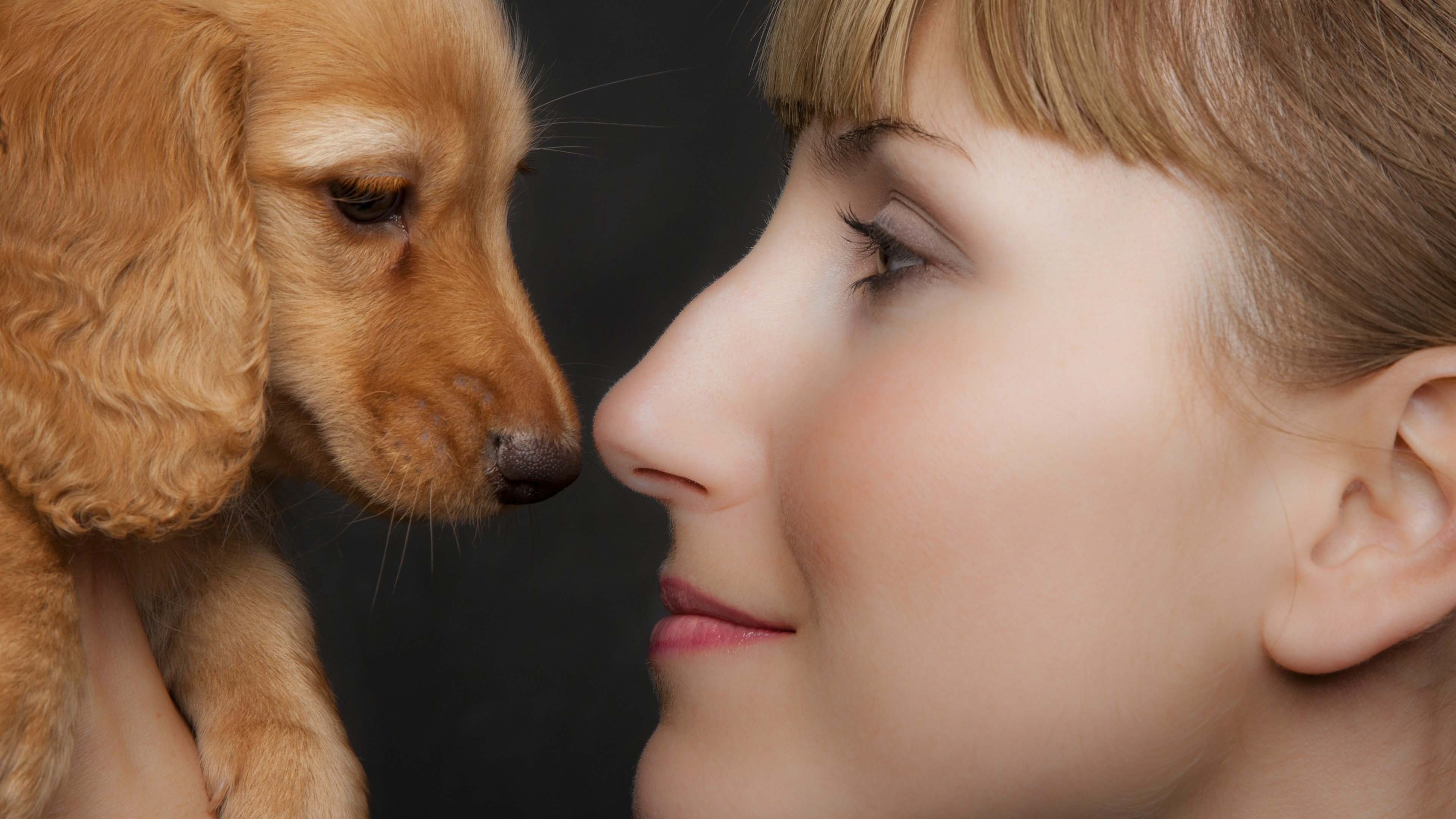 汪星人,狗狗,美女