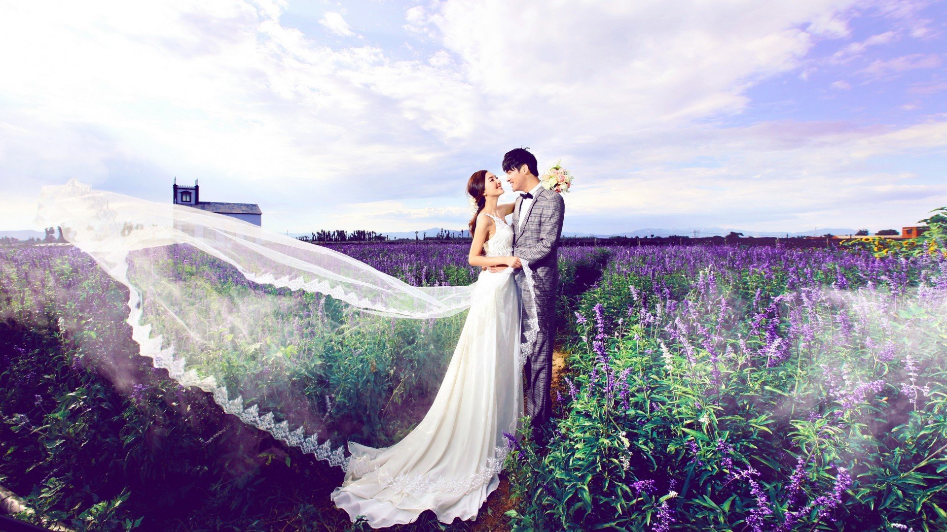 婚纱照,薰衣草,花海