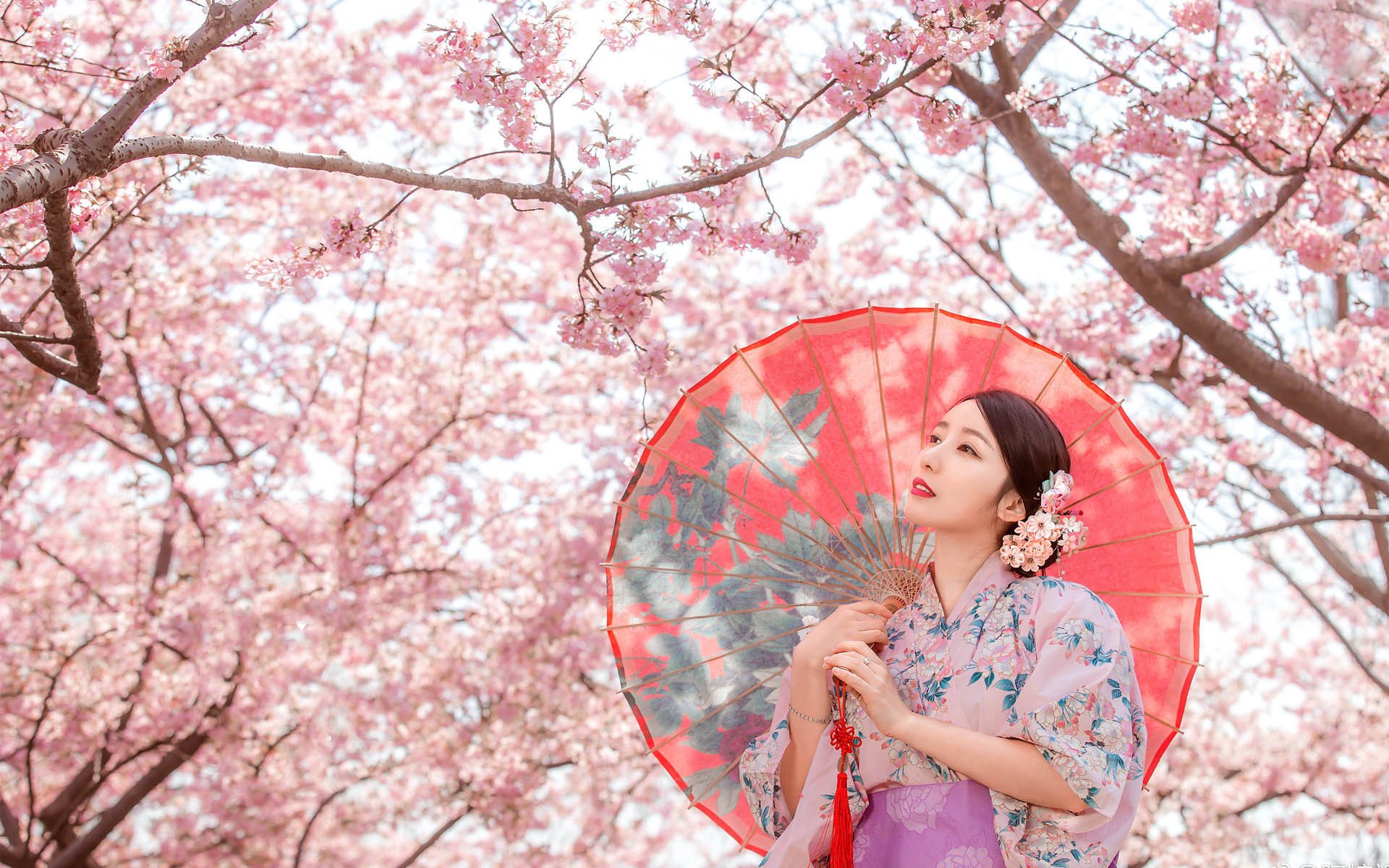 文艺古风,桃花,意境,唯美,和服