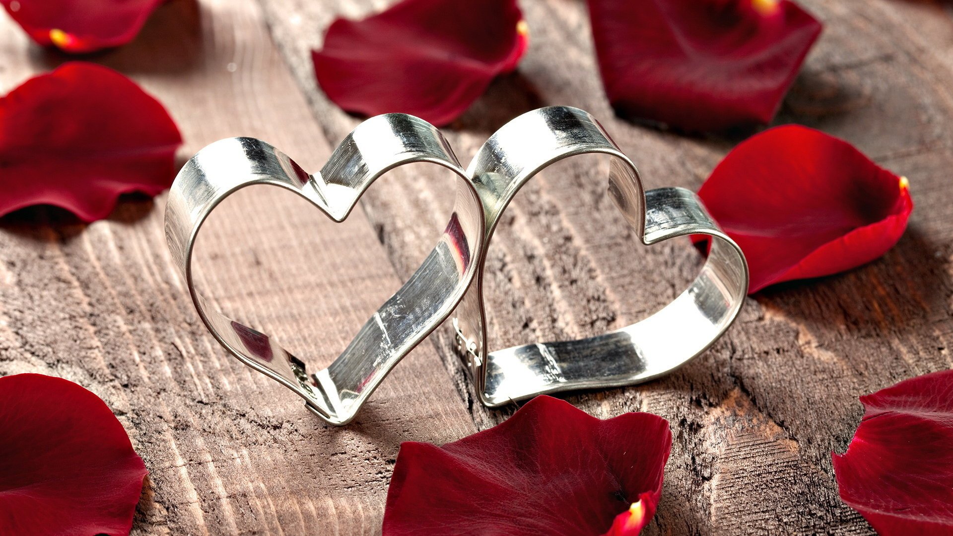 心动创意,爱心,花瓣