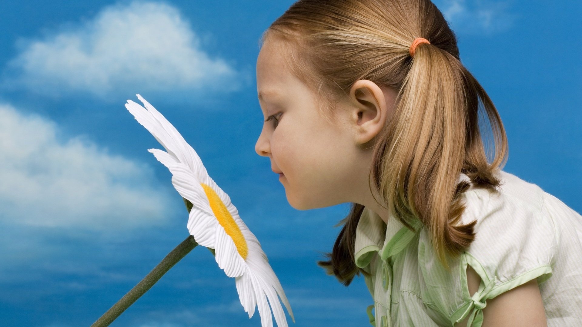 太阳花前的小女孩