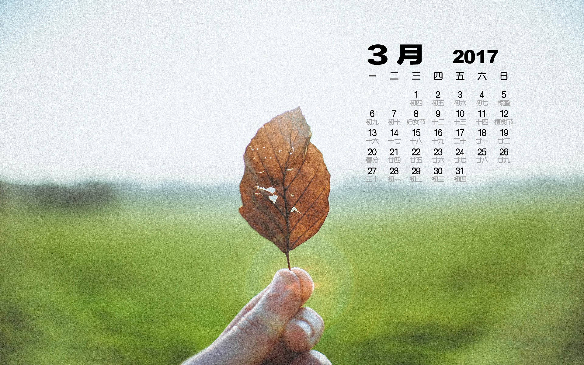 2017年3月,小清新,树叶