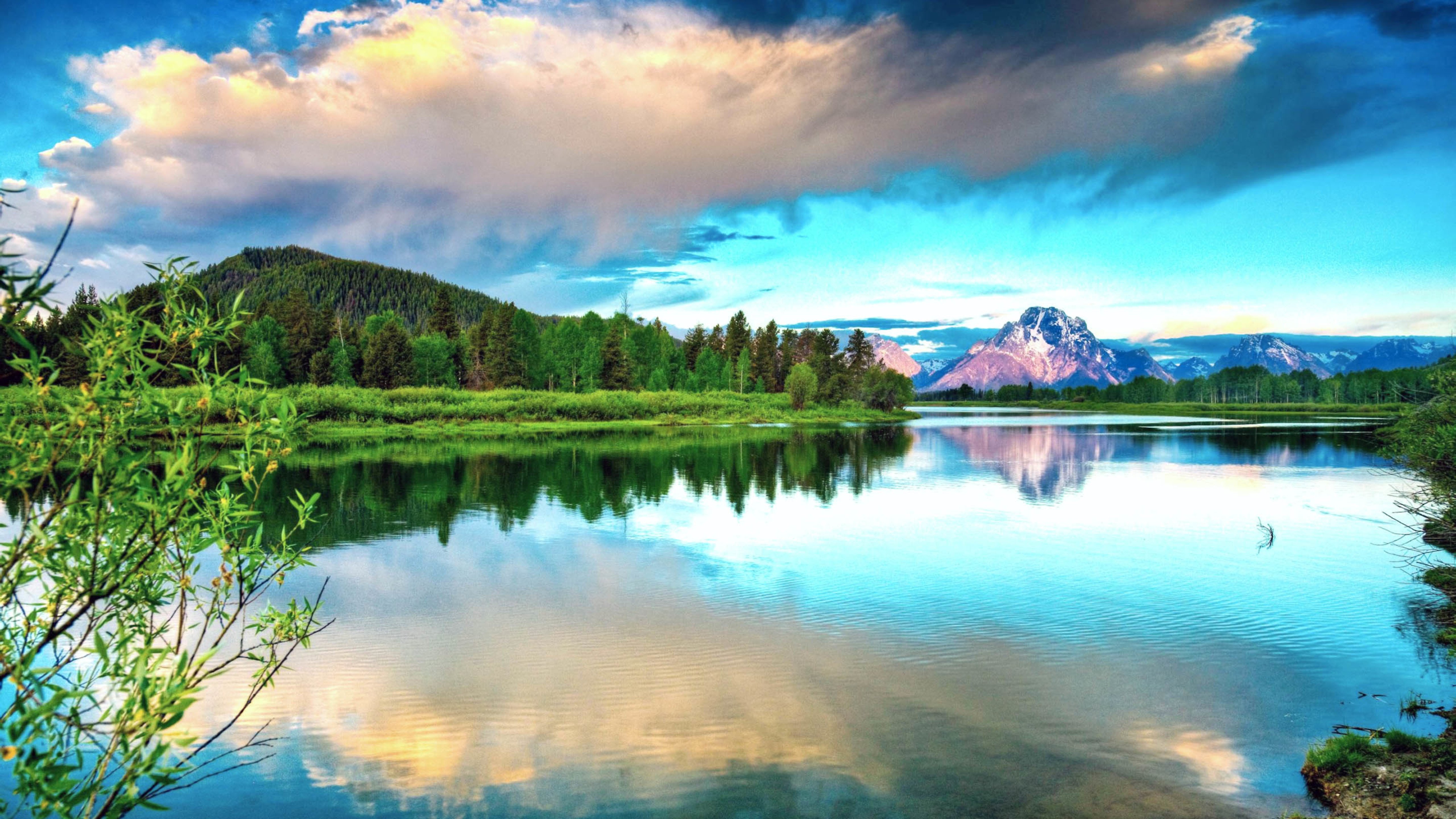 河流,森林,清新自然