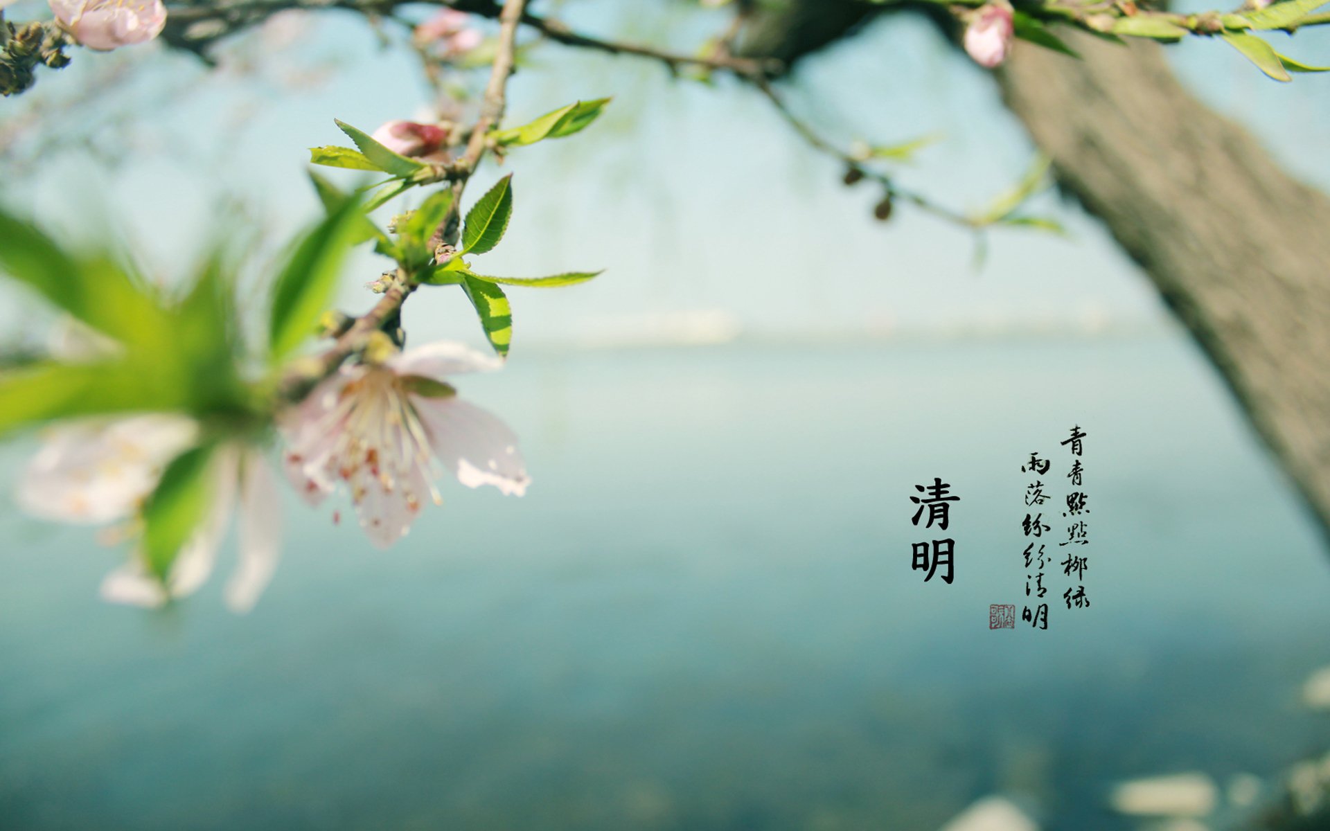清明节