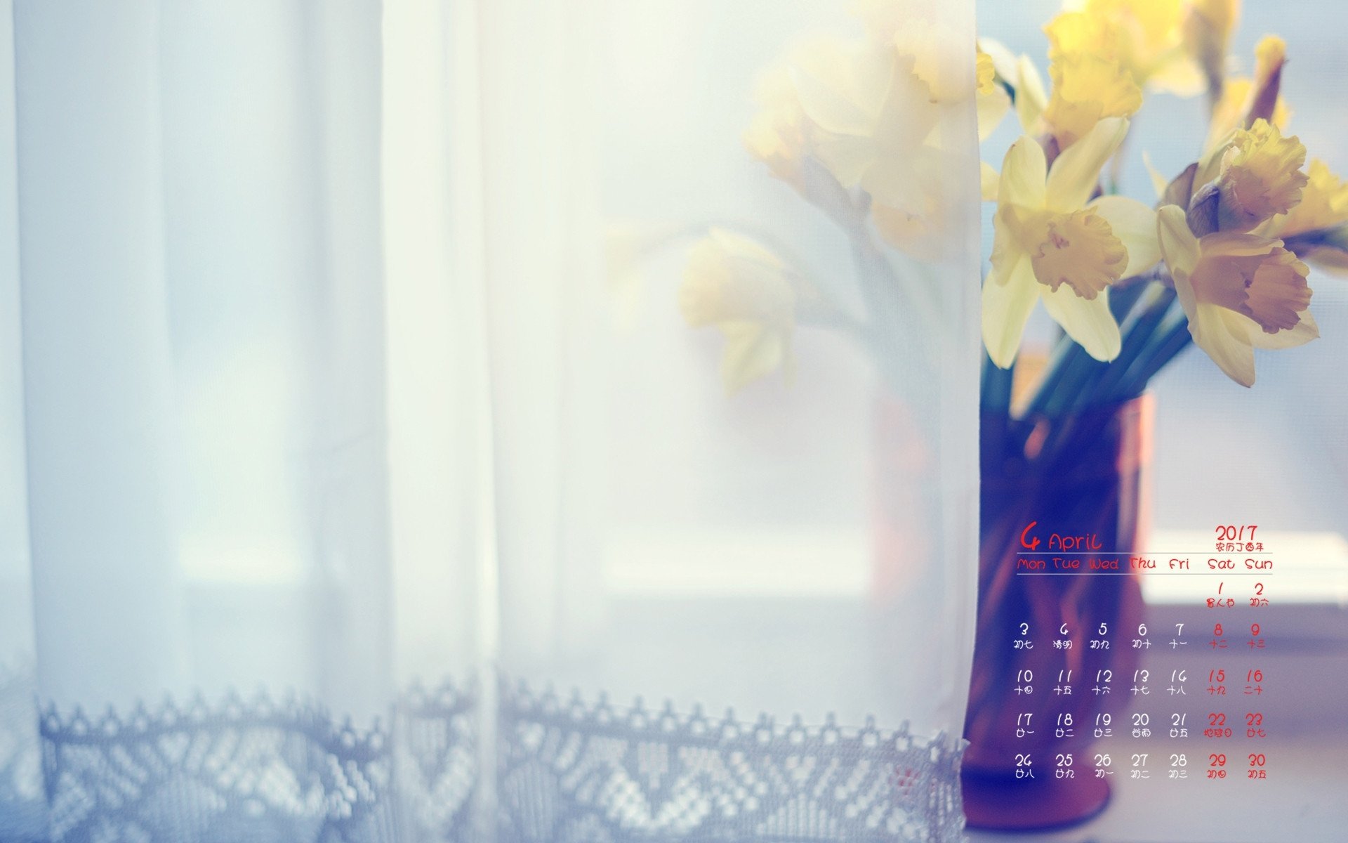 2017年4月,小黄花