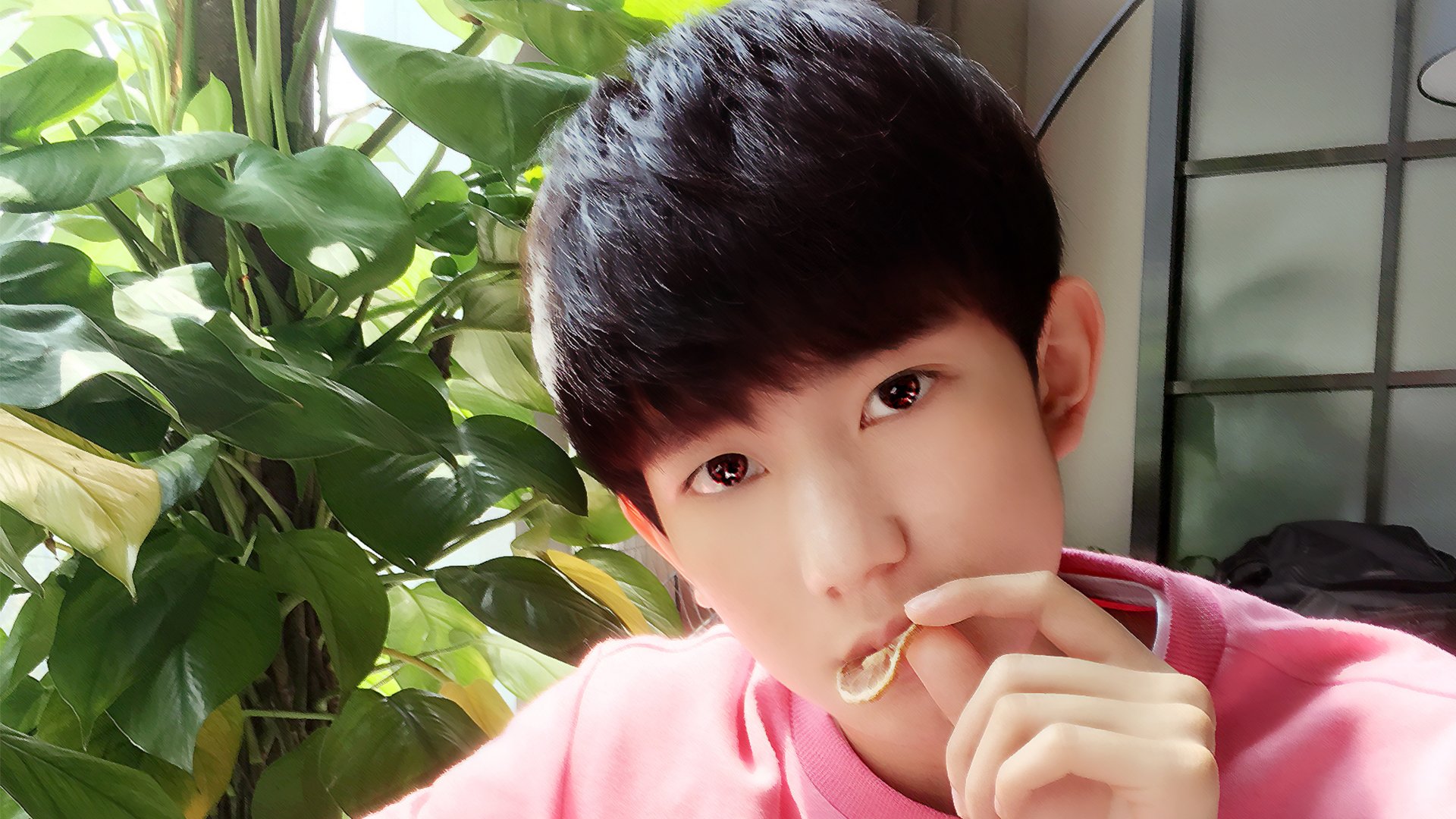tfboys,王源