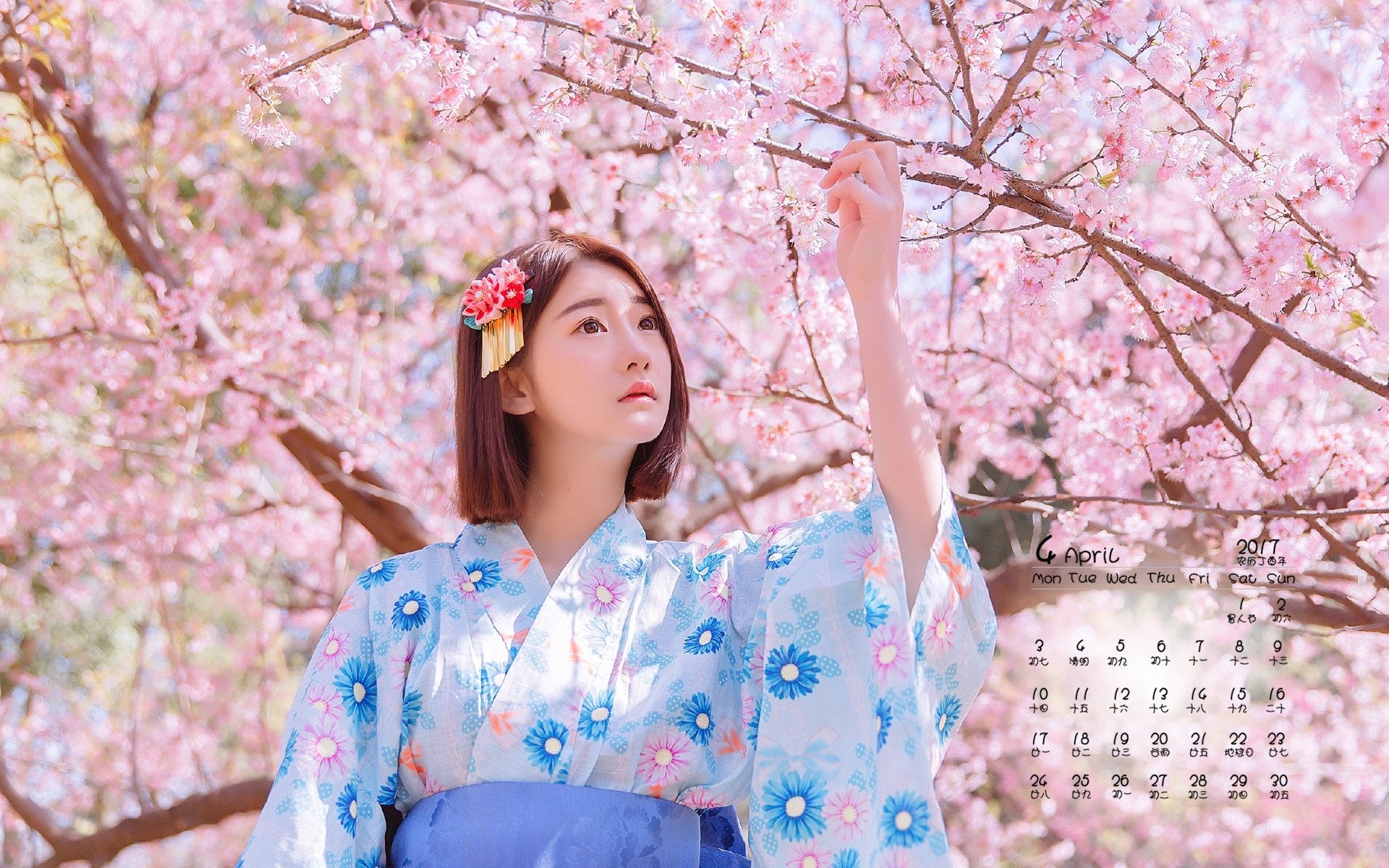 2017年4月,樱花和服美女