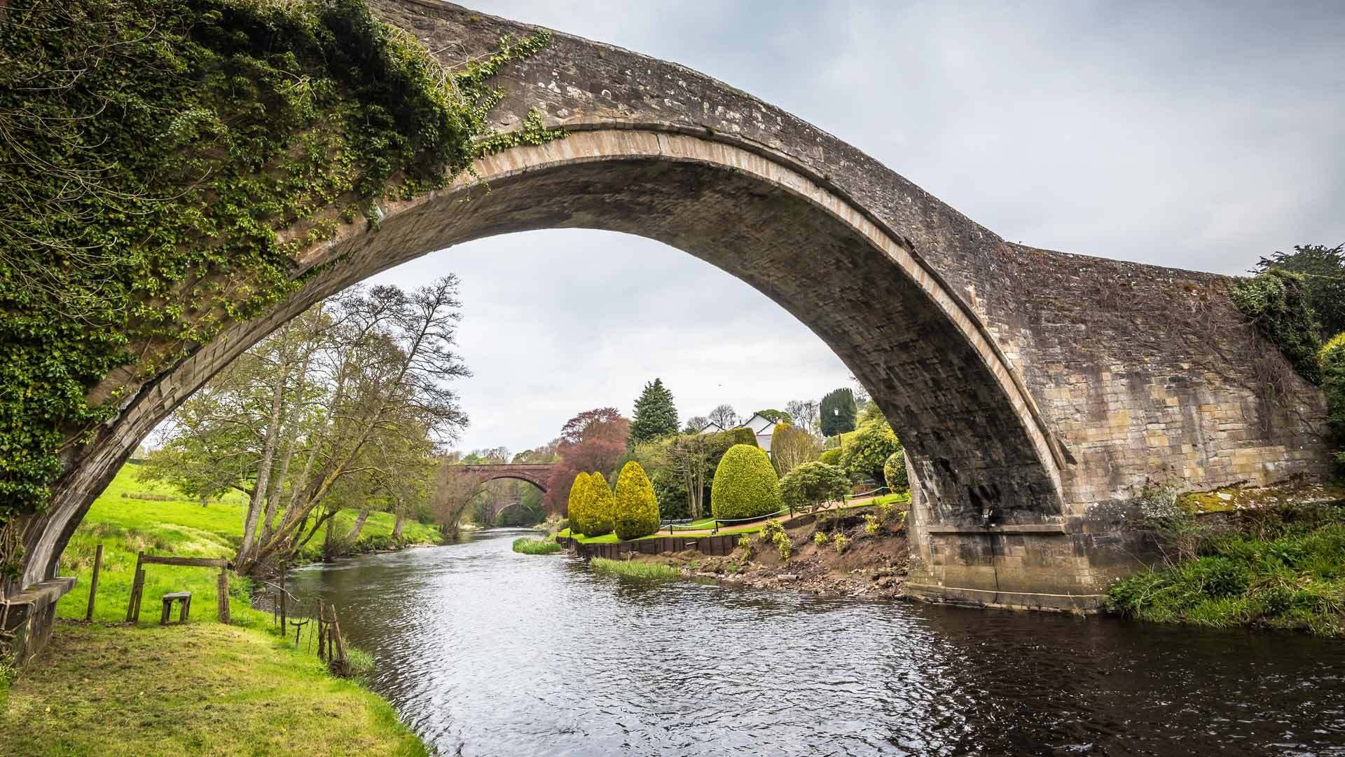 春意盎然,河流,石桥