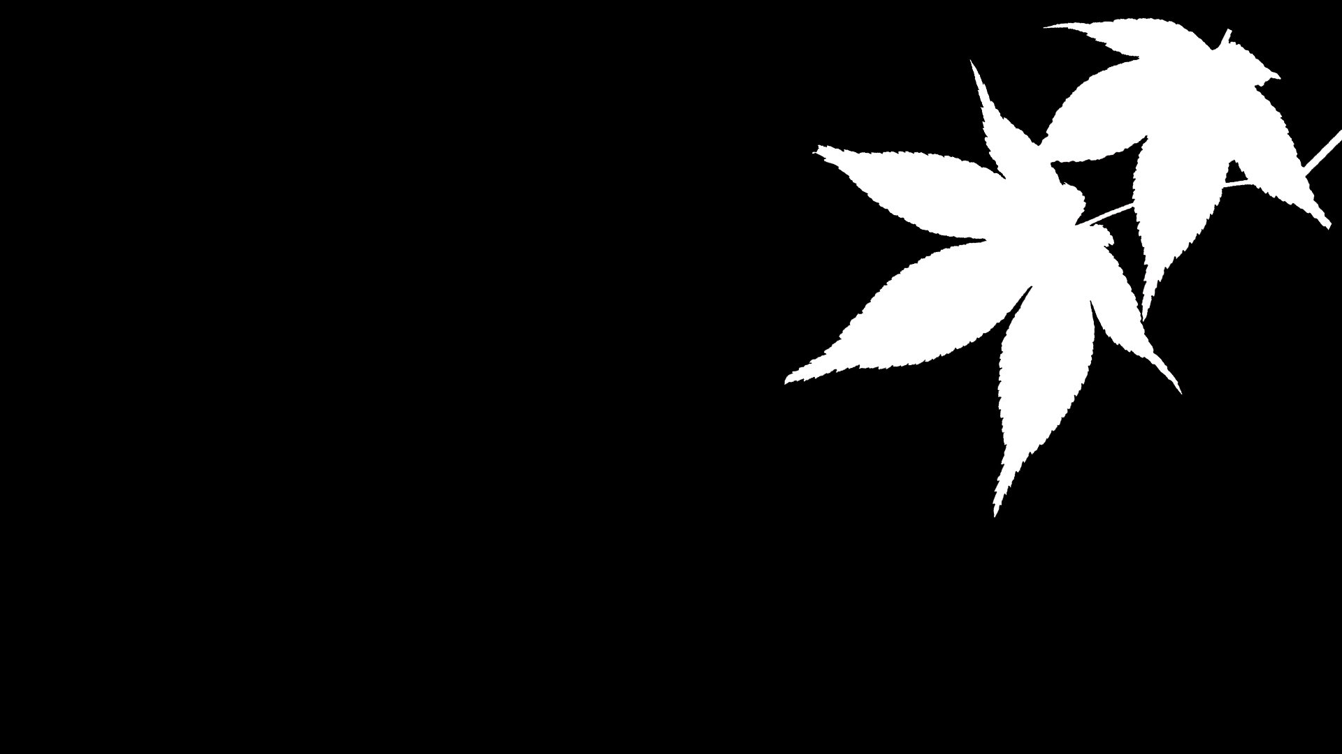 简约,枫叶,剪影