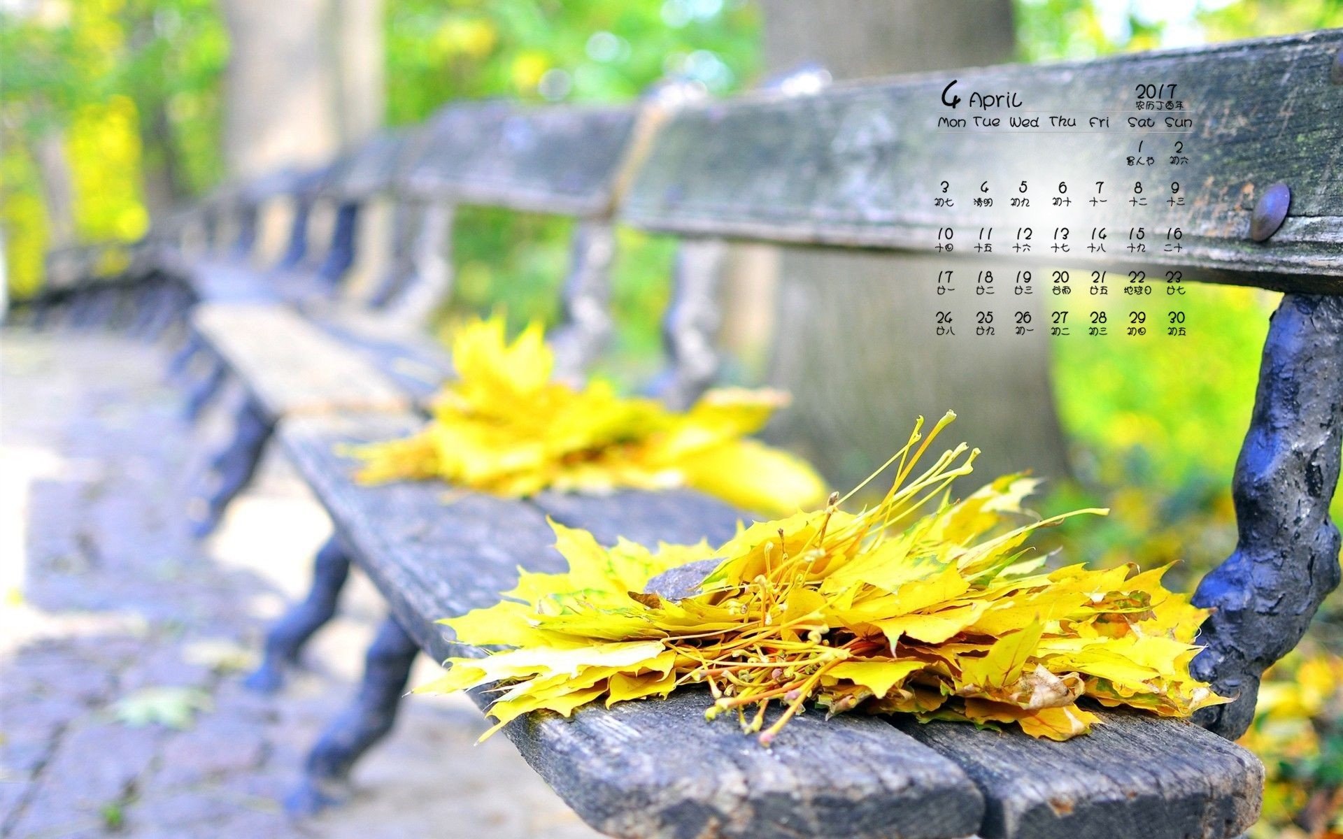 2017年4月,秋天,落叶,长椅