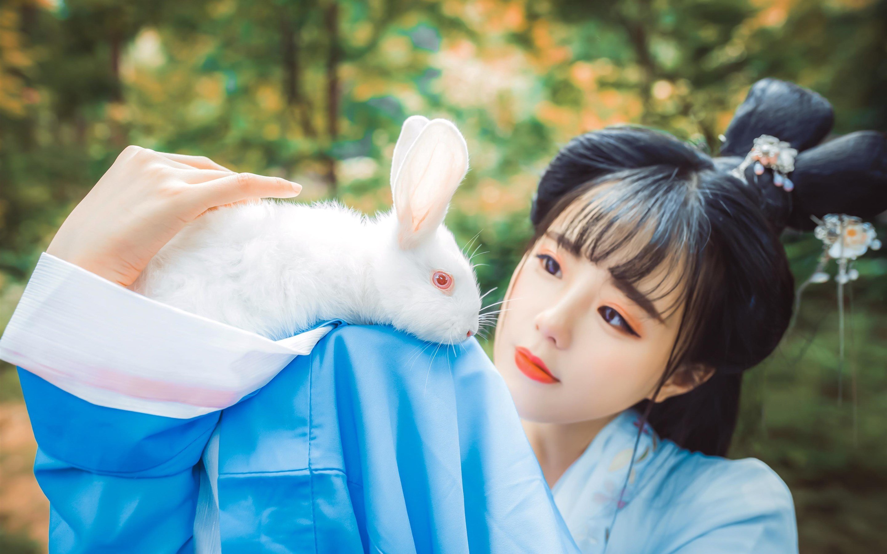 文艺古风,兔子