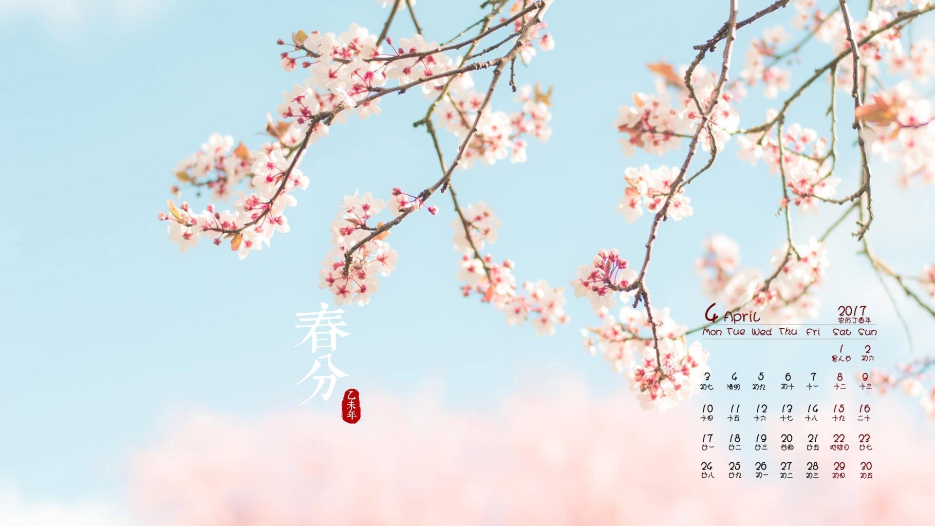 2017年4月,樱花