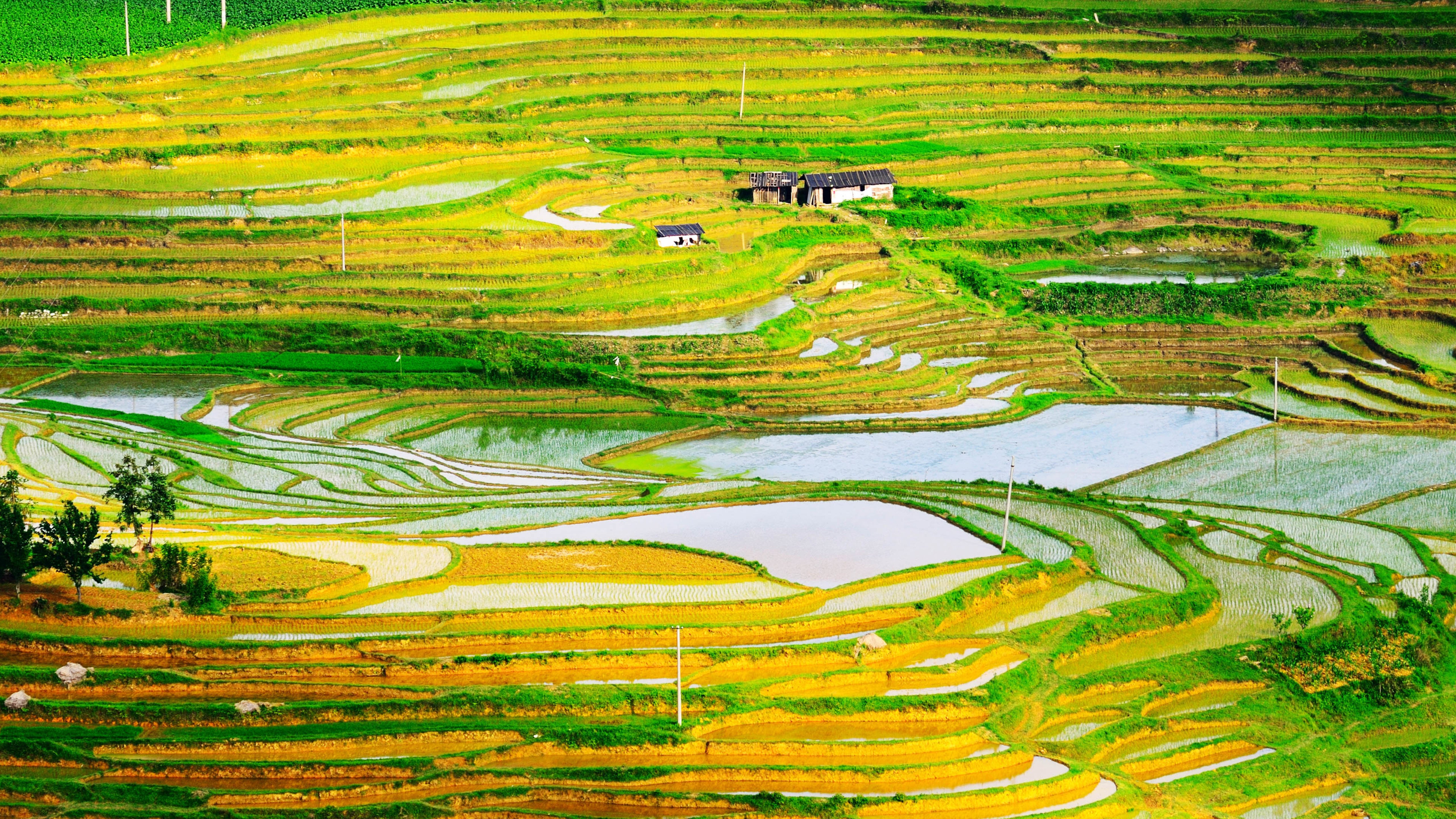 梯田,农田,乡村
